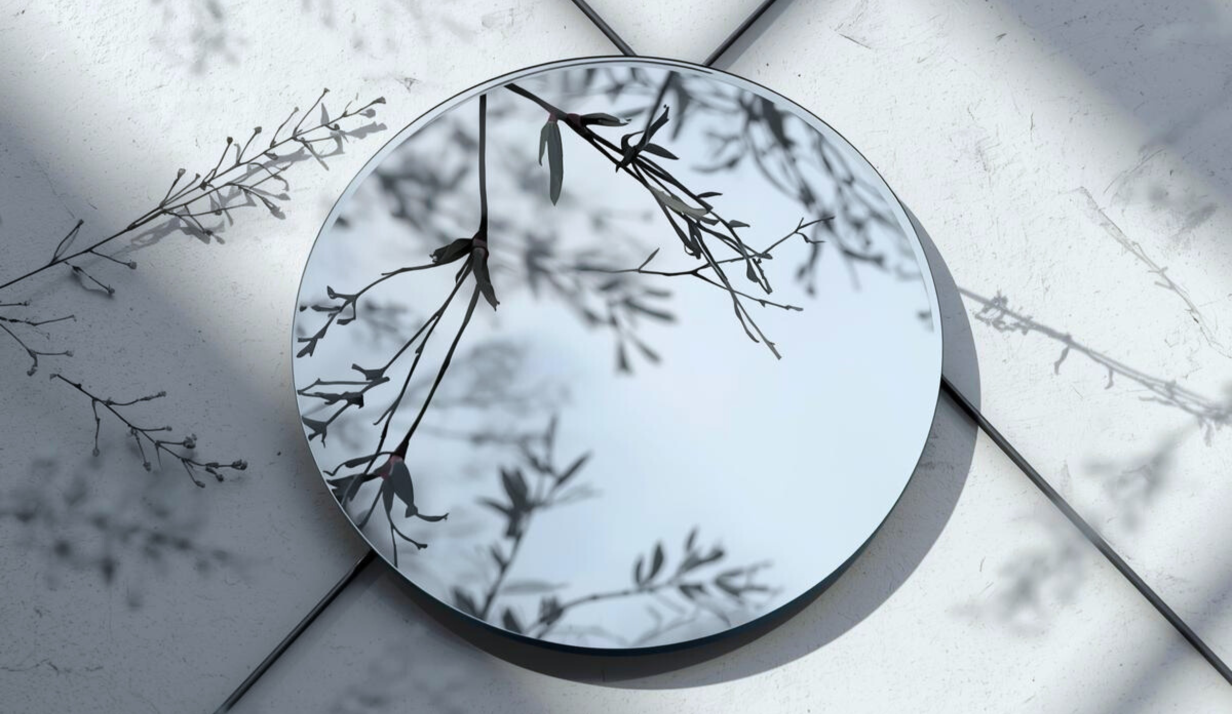 Mirror reflecting branches