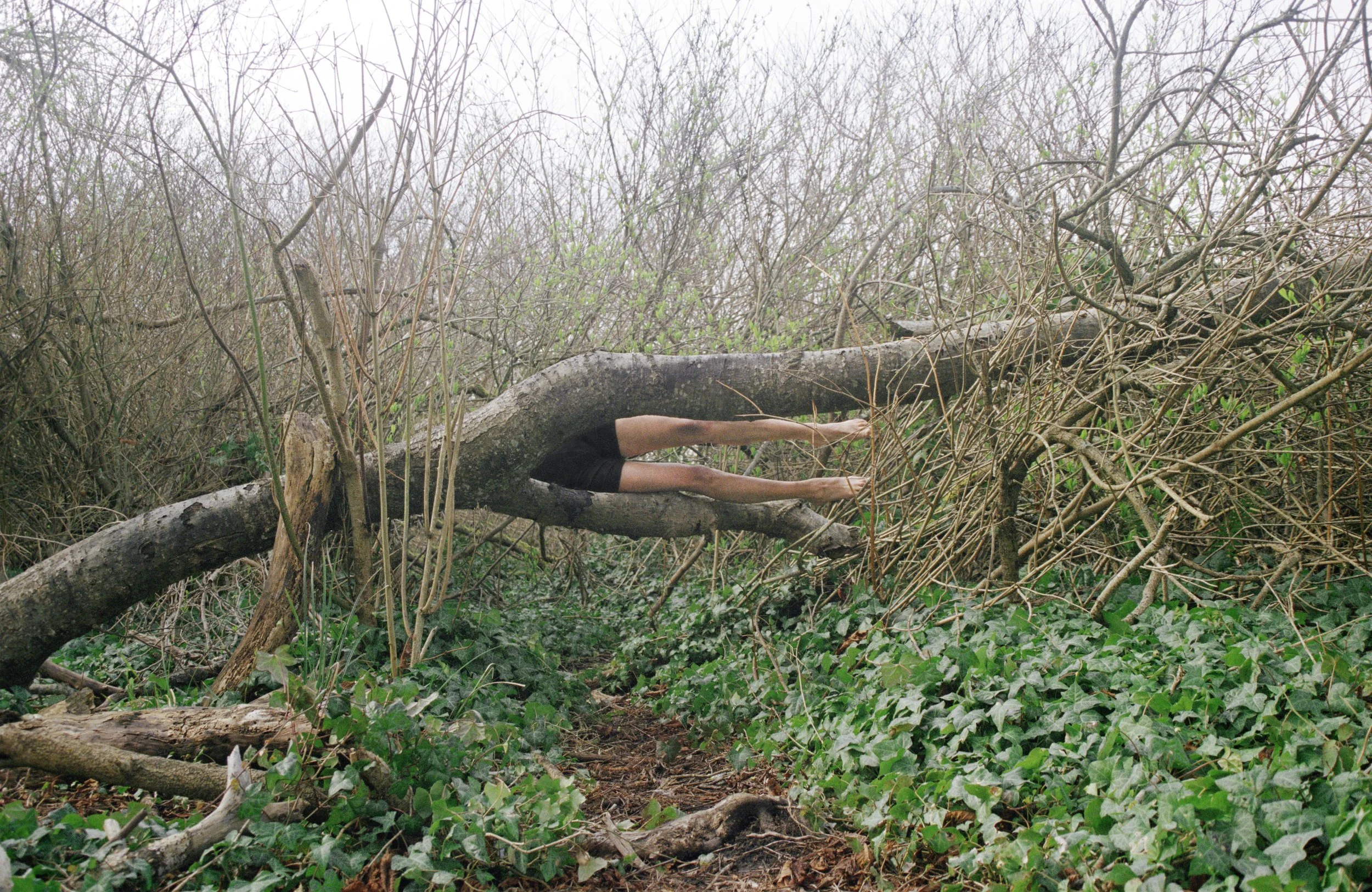 Untitled 3 (2021)
35mm analogue 