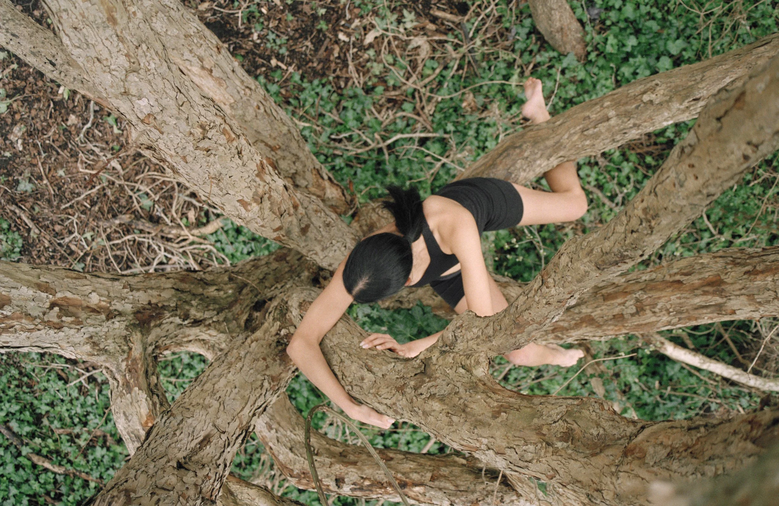 Untitled 2 (2021)
35mm analogue 