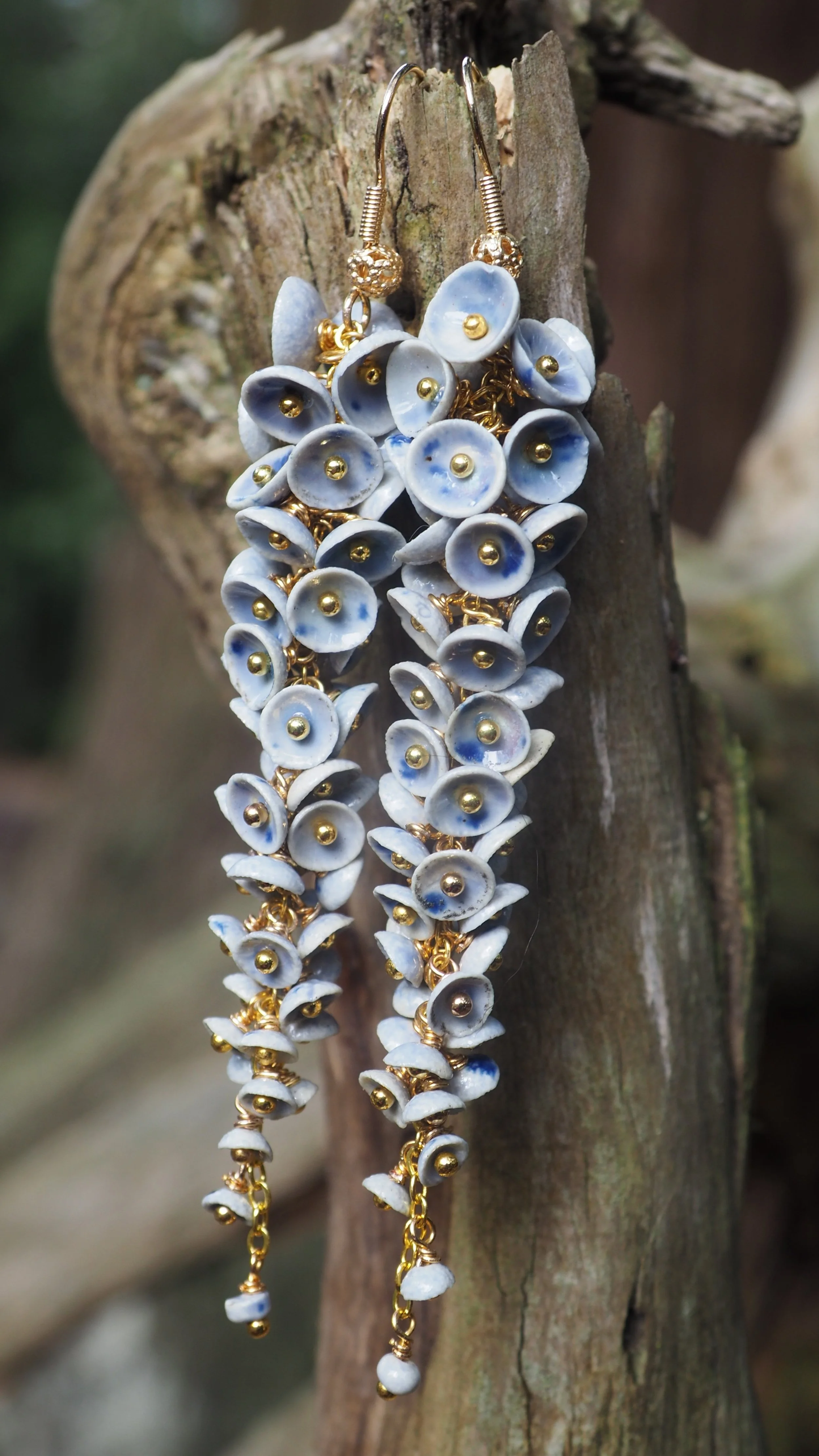 Muscari Iridelle x09.JPG