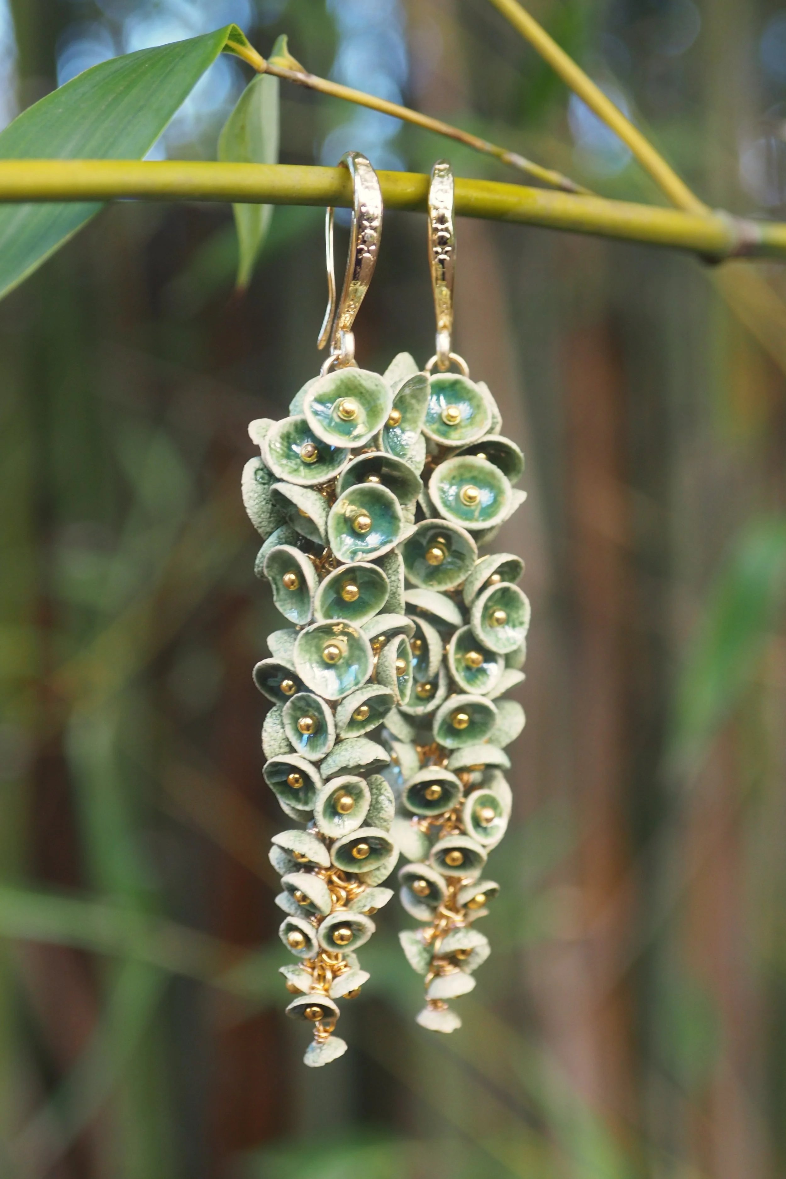 Muscari Mossfall x6.JPG