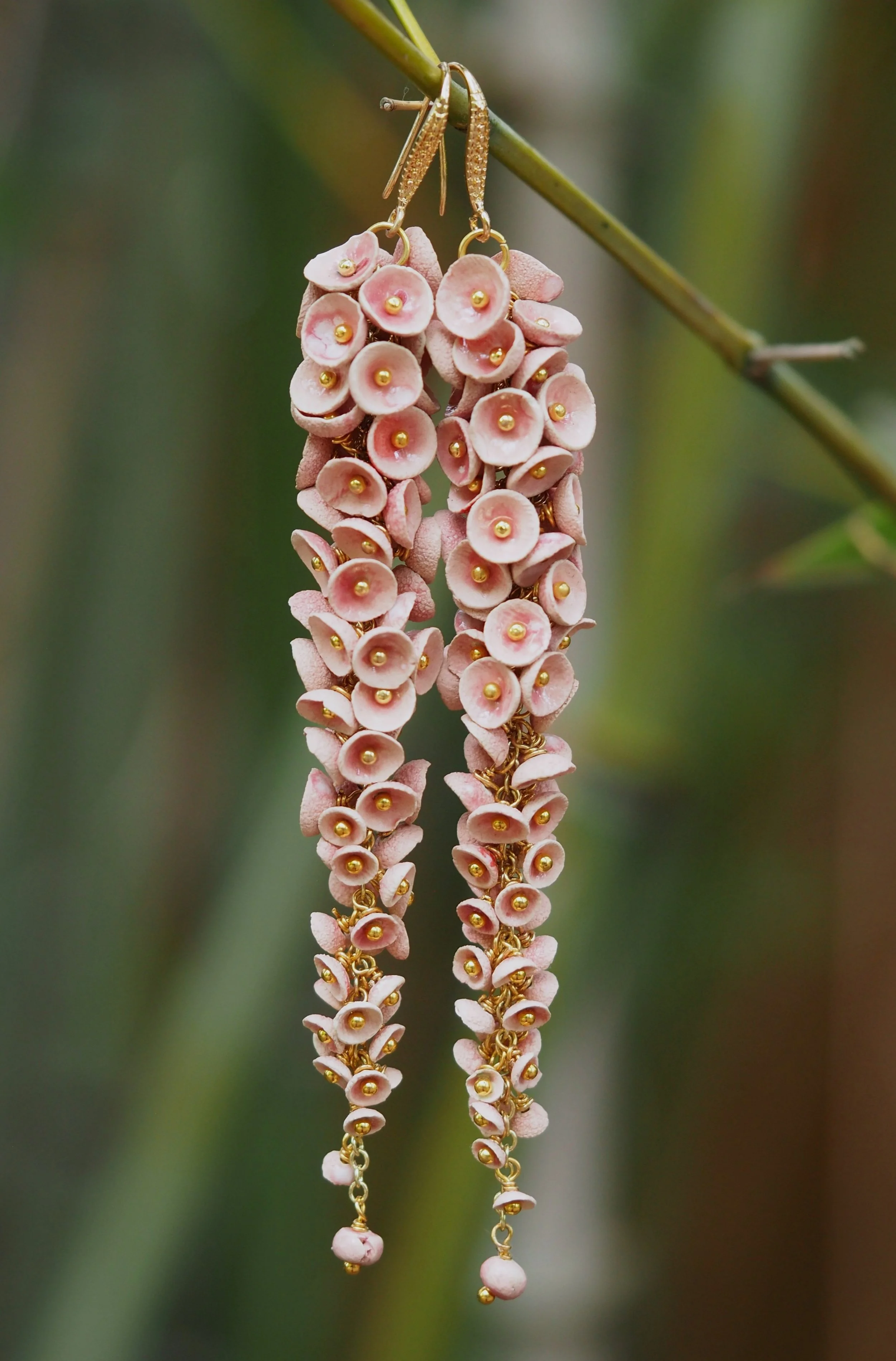 Muscari Rosé