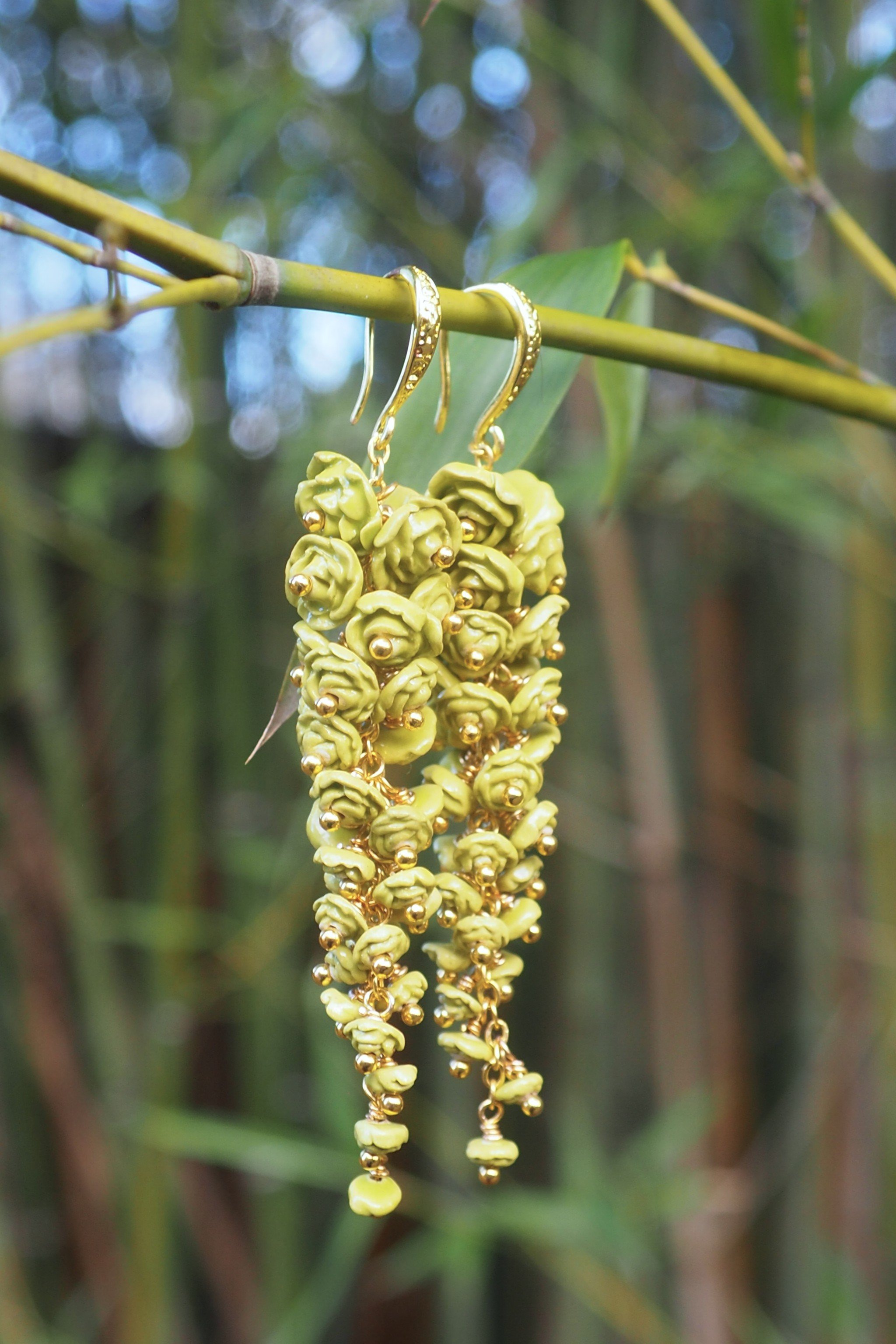 Rosa Chartreuse x3.JPG