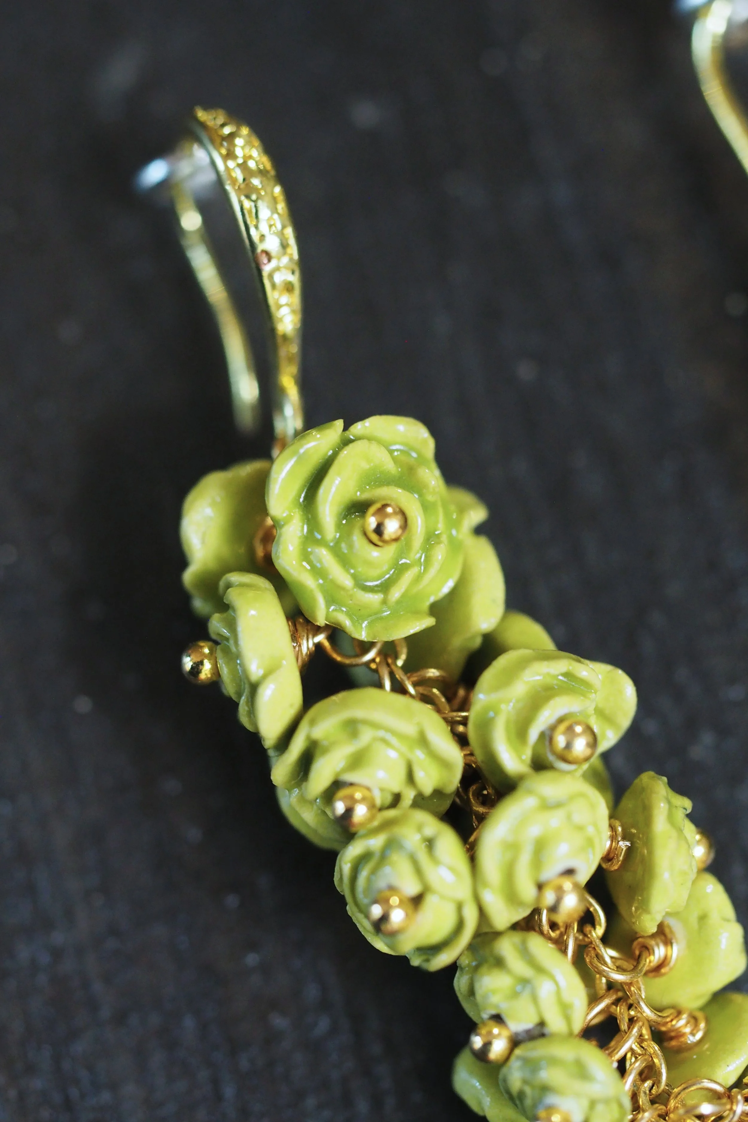 Rosa Chartreuse x5.JPG