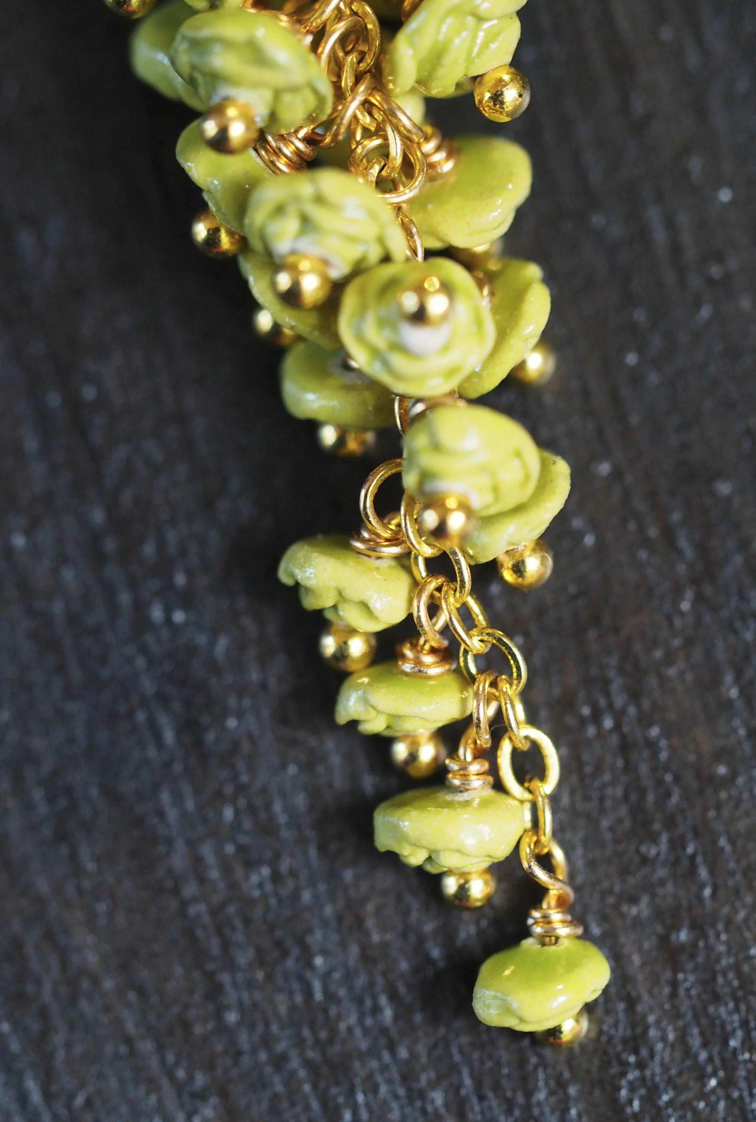 Rosa Chartreuse x7.JPG