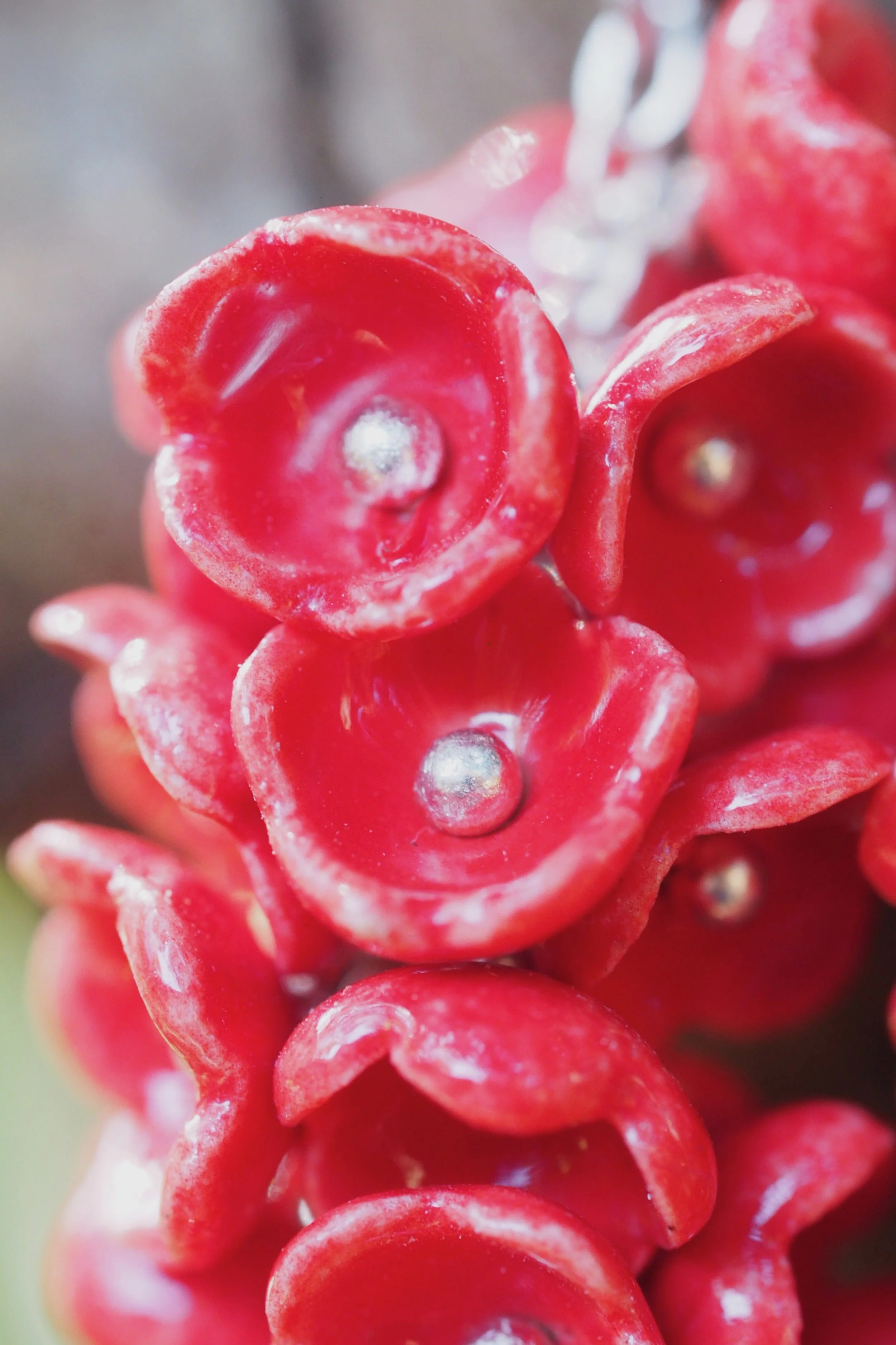 Ruby Whisper x03.JPG