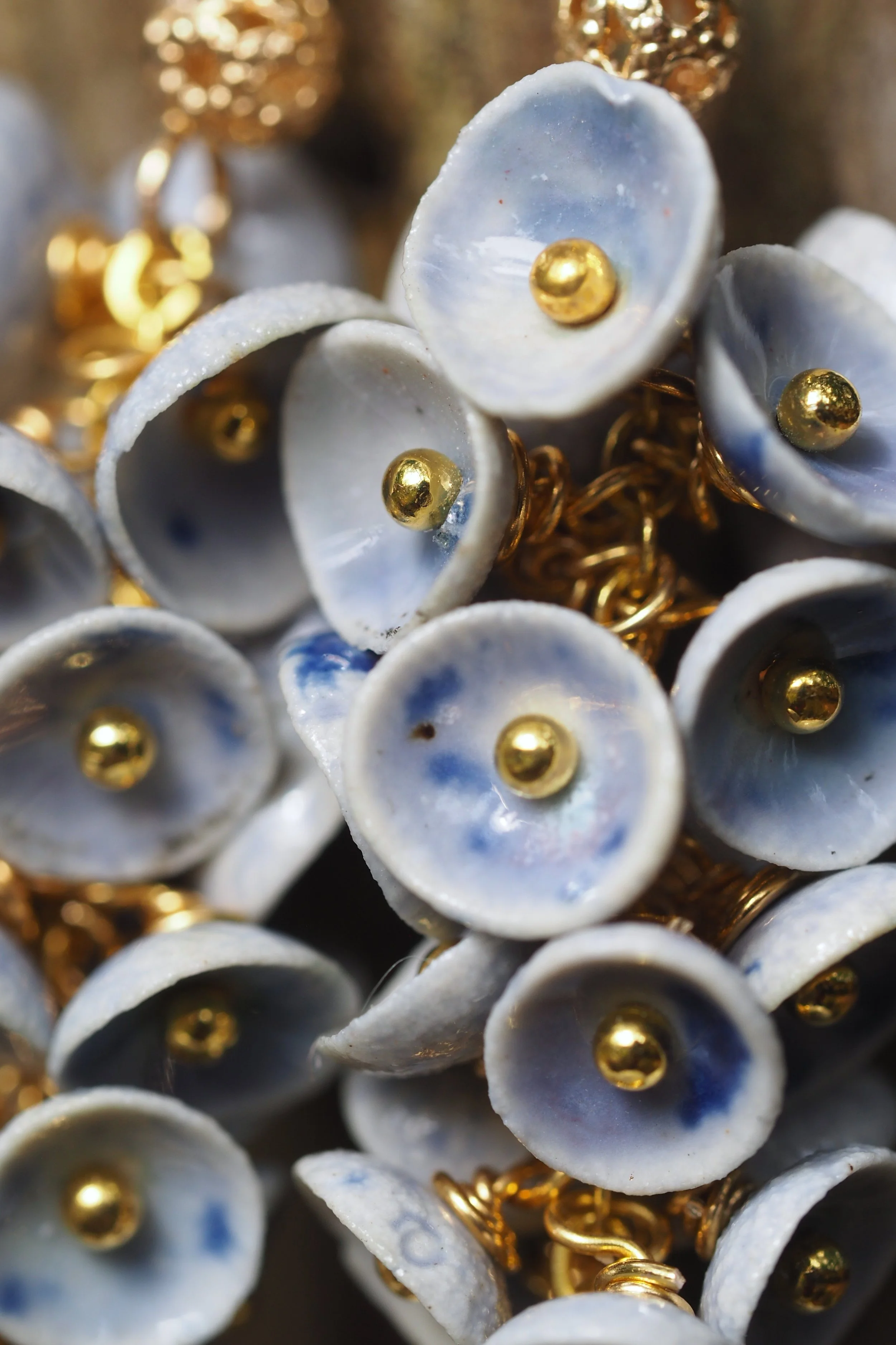 Muscari Iridelle x2.JPG