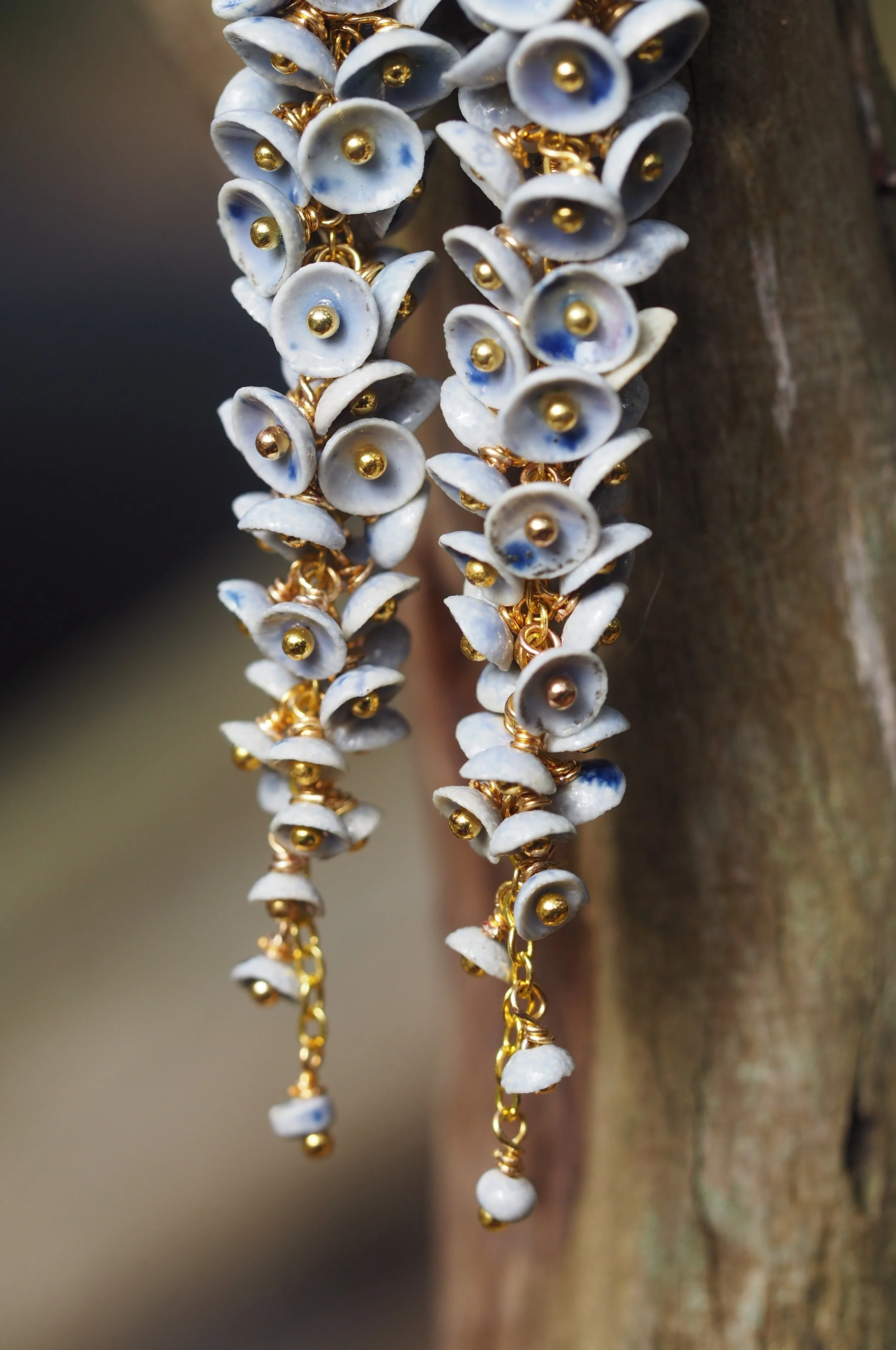 Muscari Iridelle x0.JPG