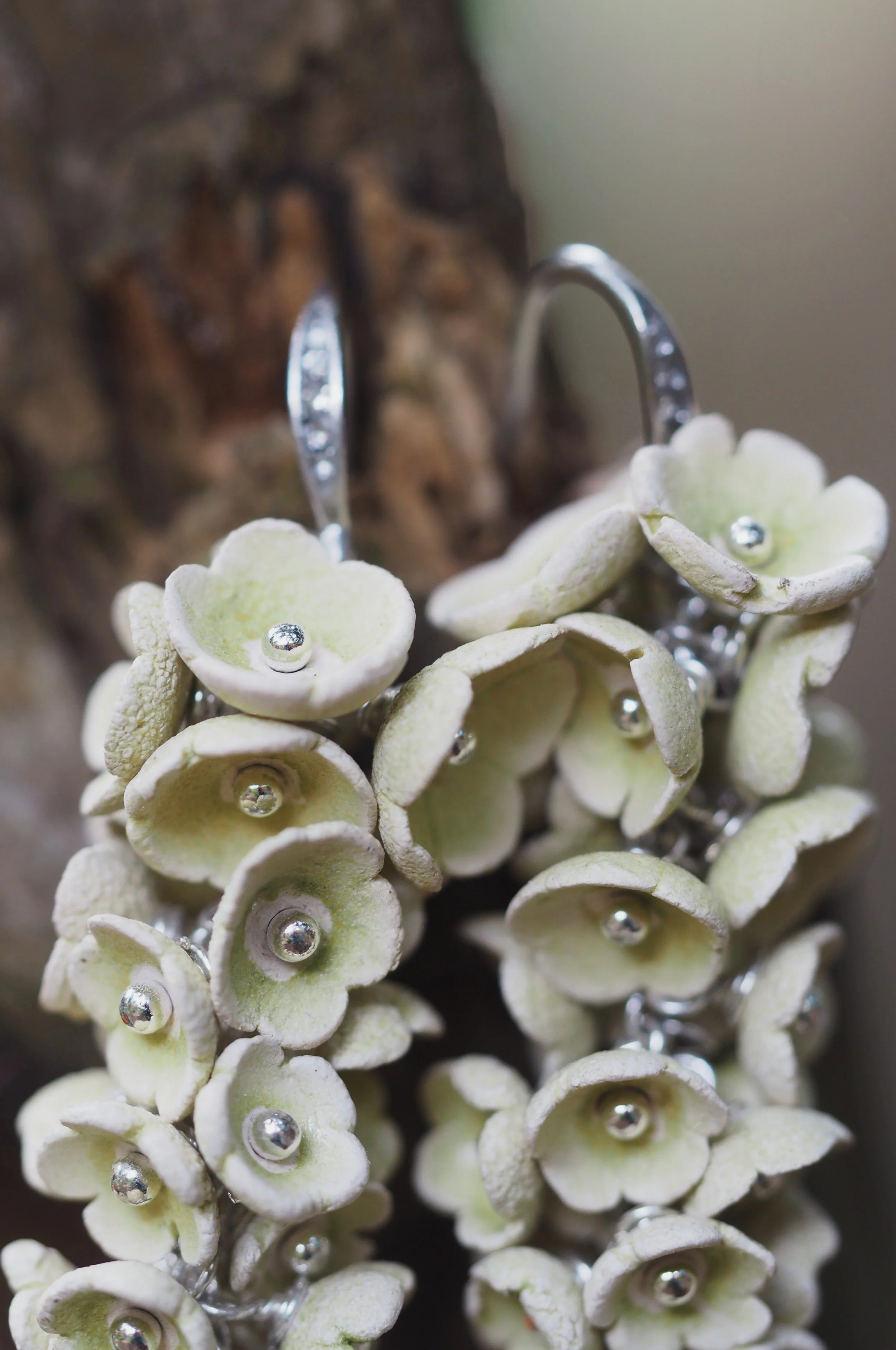 Verdantis Salvia x03.JPG