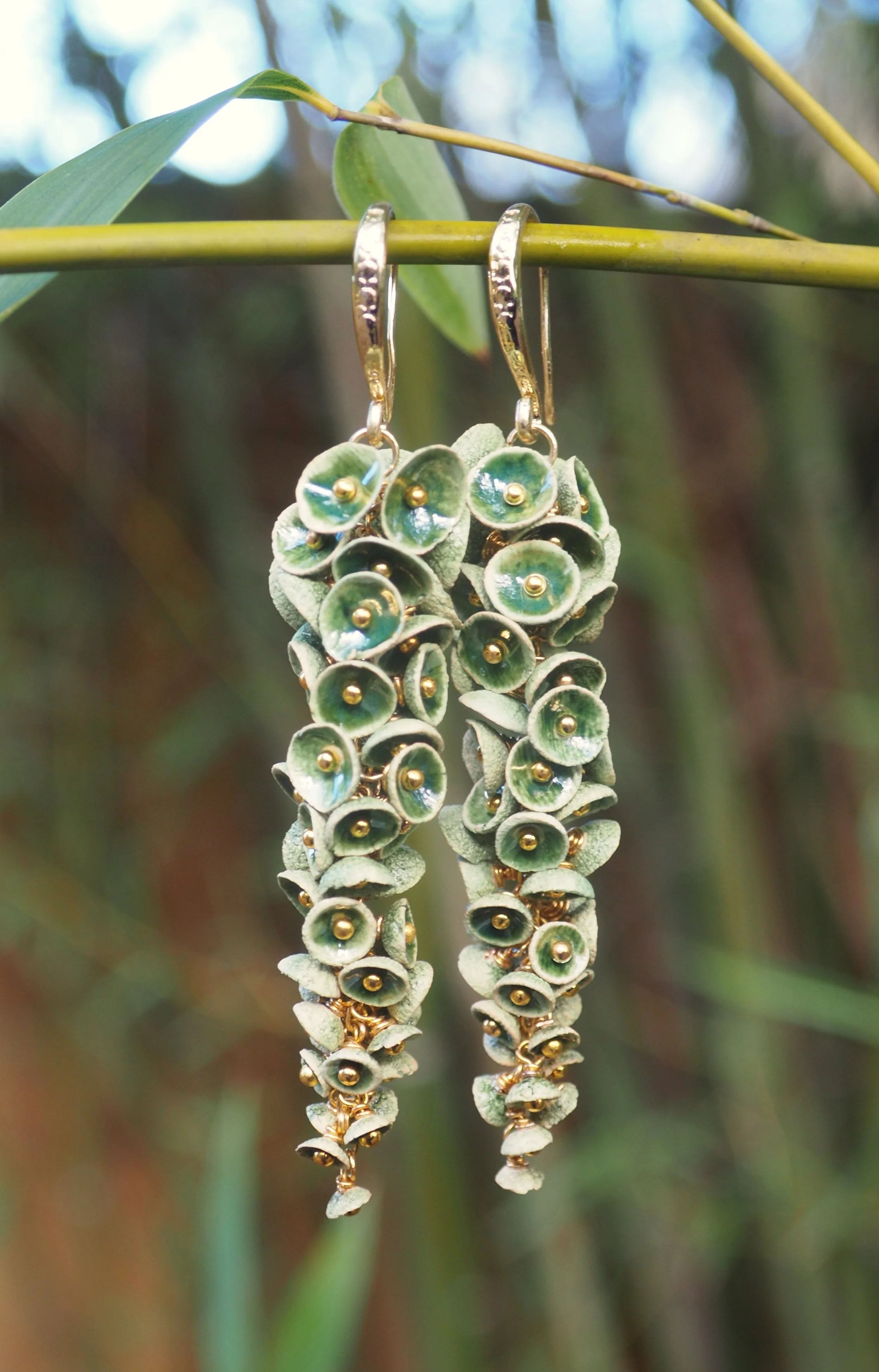 Muscari Mossfall x5.JPG