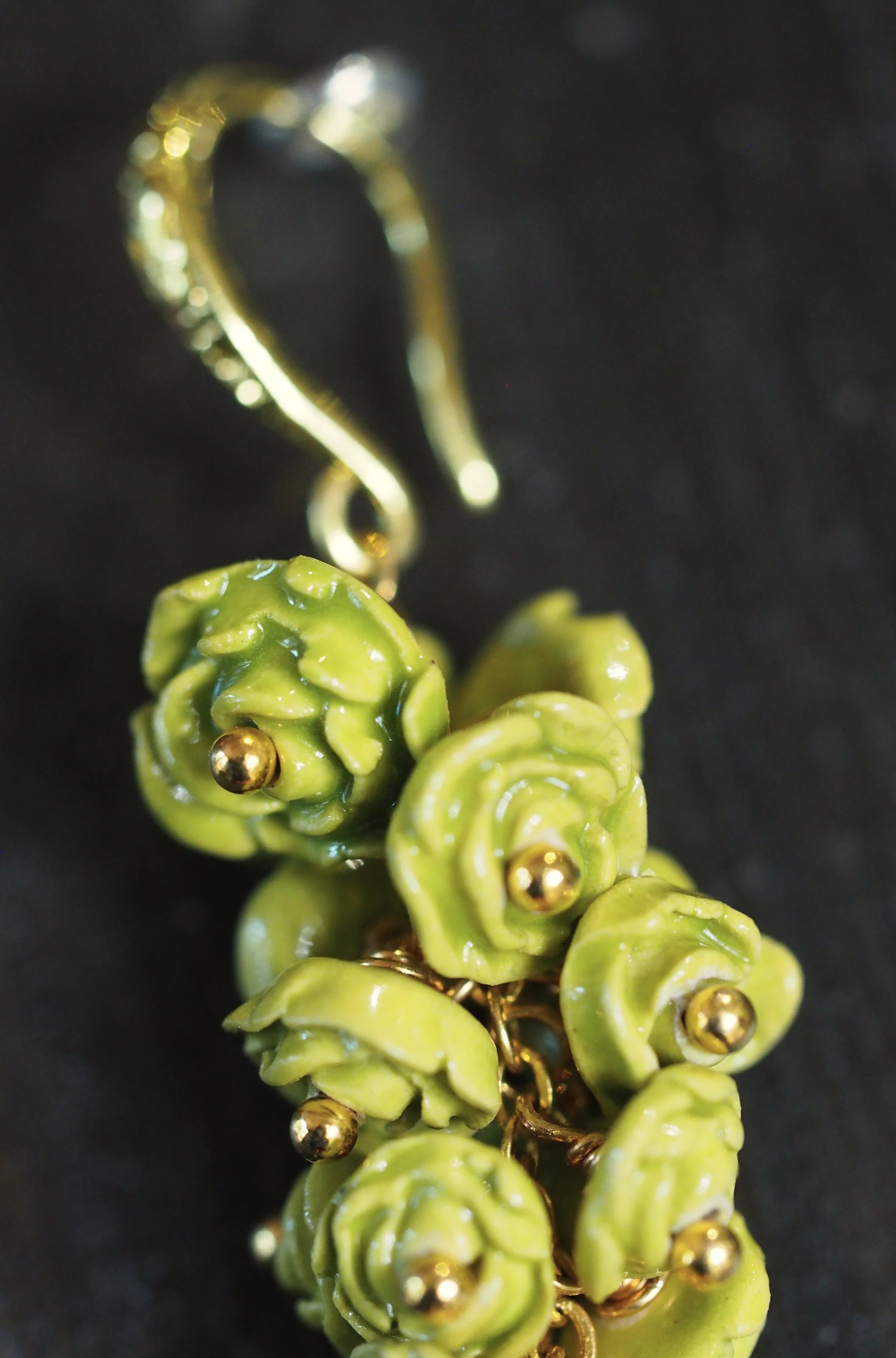 Rosa Chartreuse x6.JPG