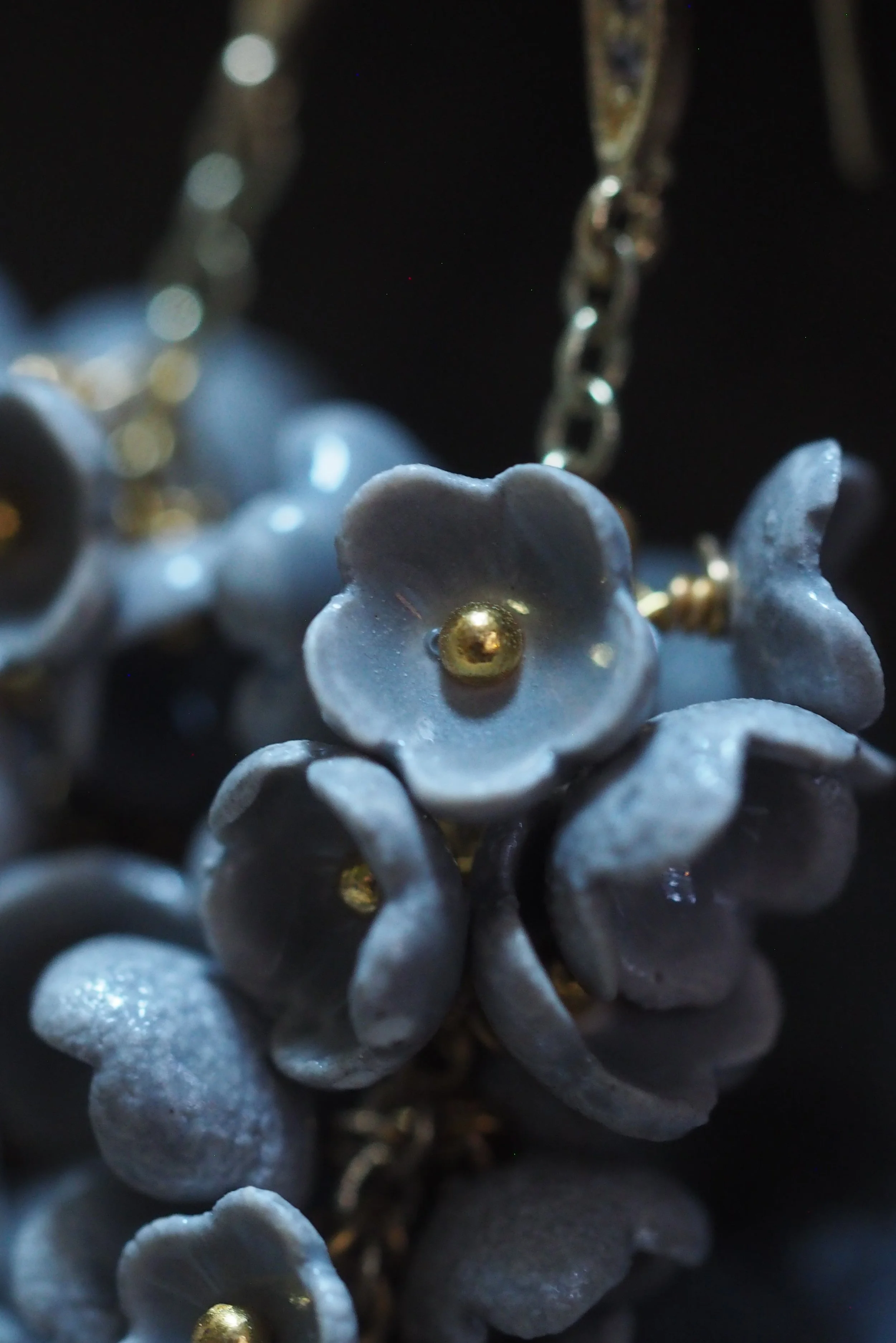 Twilight bloom 01.JPG