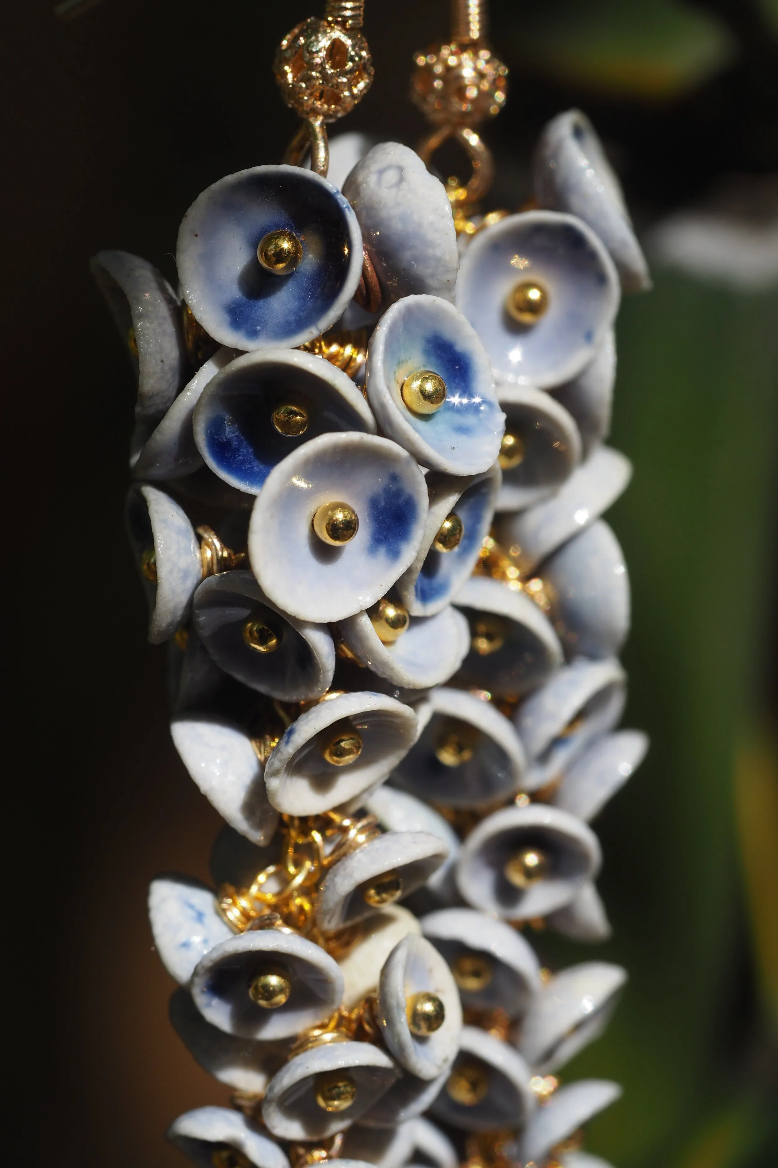 Muscari Iridelle x6.JPG