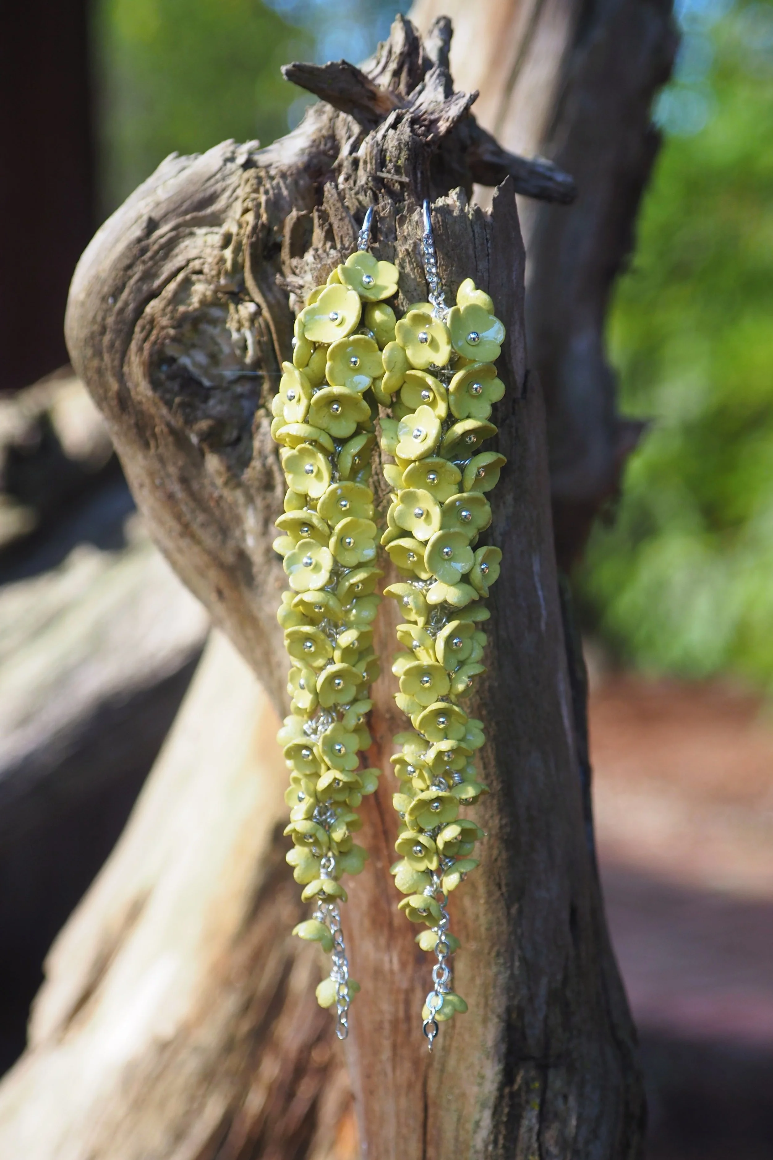 Spring Meadow x0.JPG