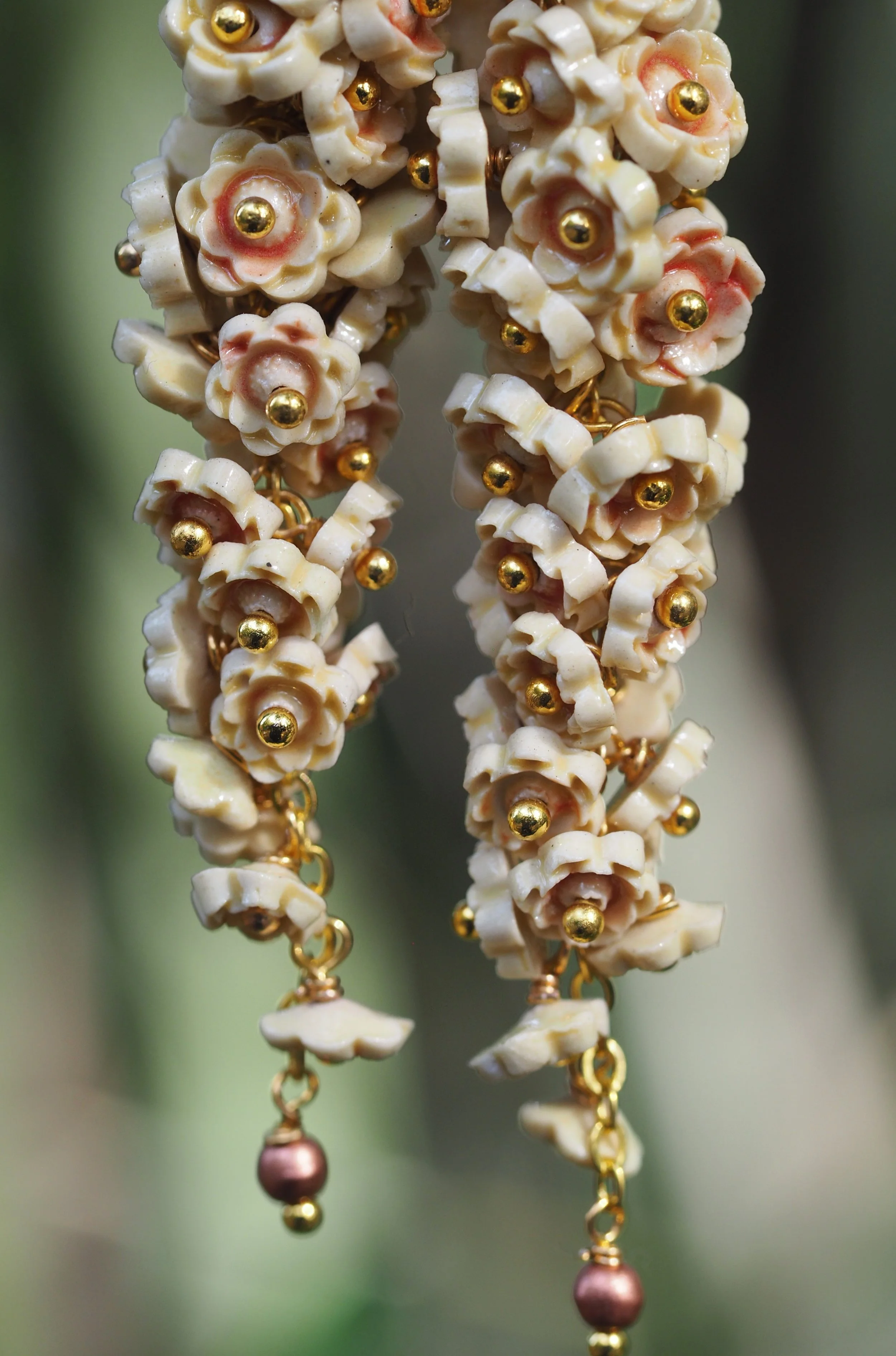 Flora Solara x5.JPG