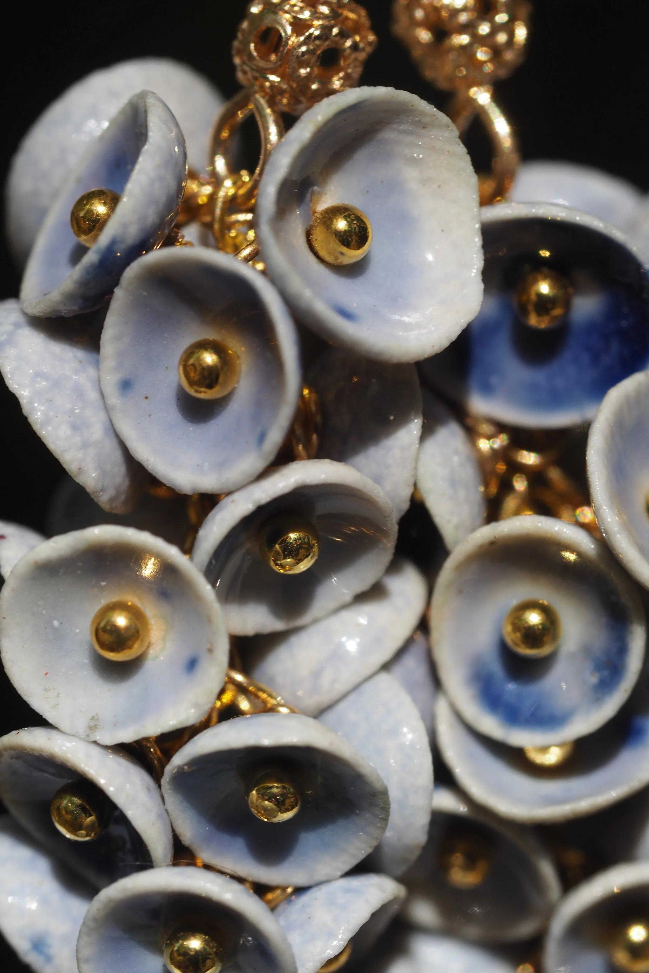 Muscari Iridelle x8.JPG