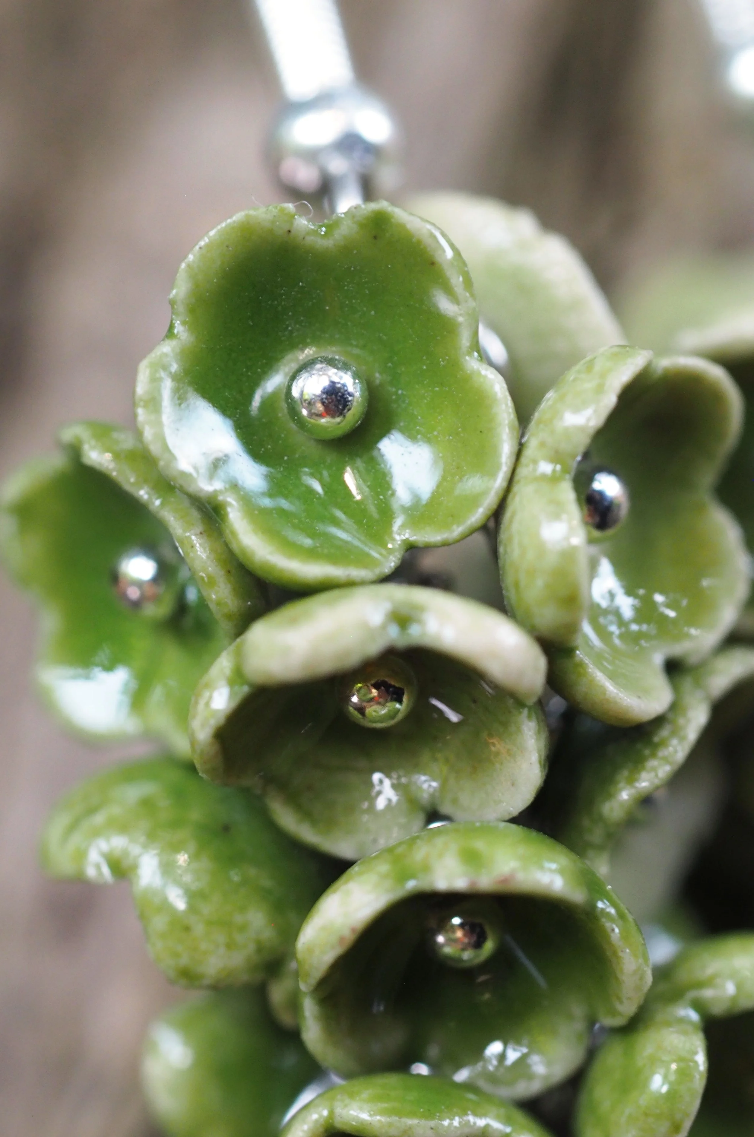 Flora Sylvox x06.JPG