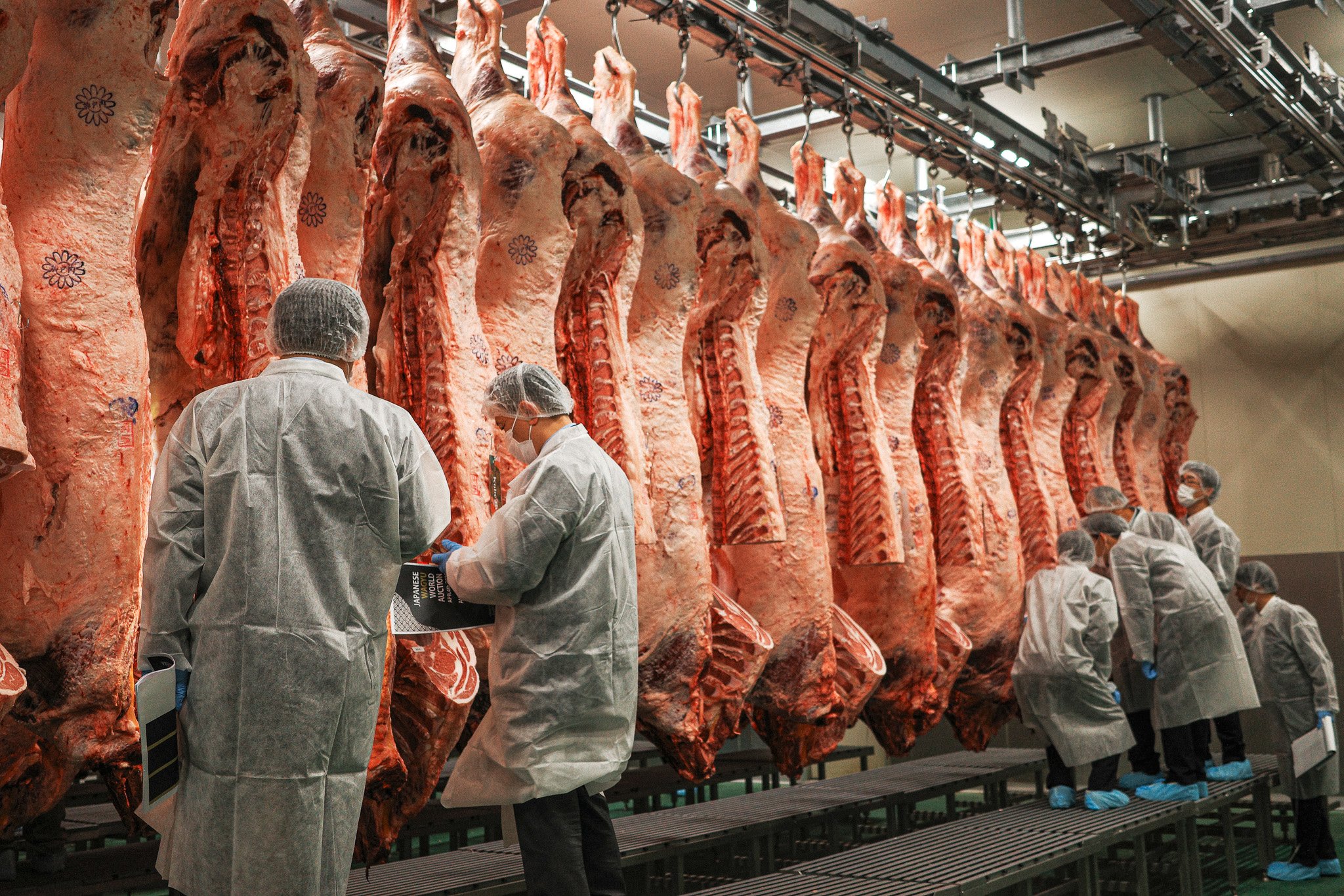 Japanese Wagyu World Auction