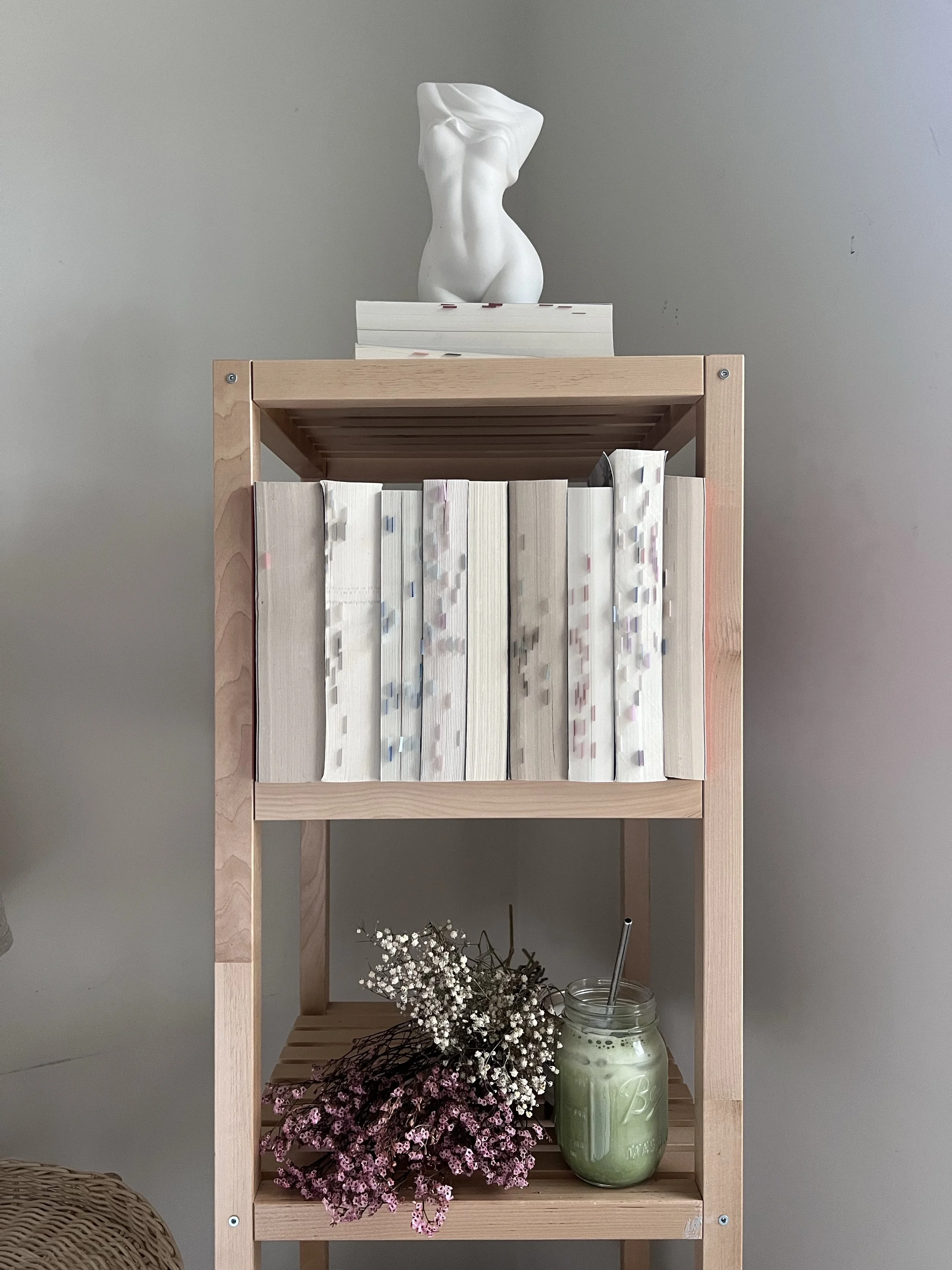 bookshelf with tabbed pages