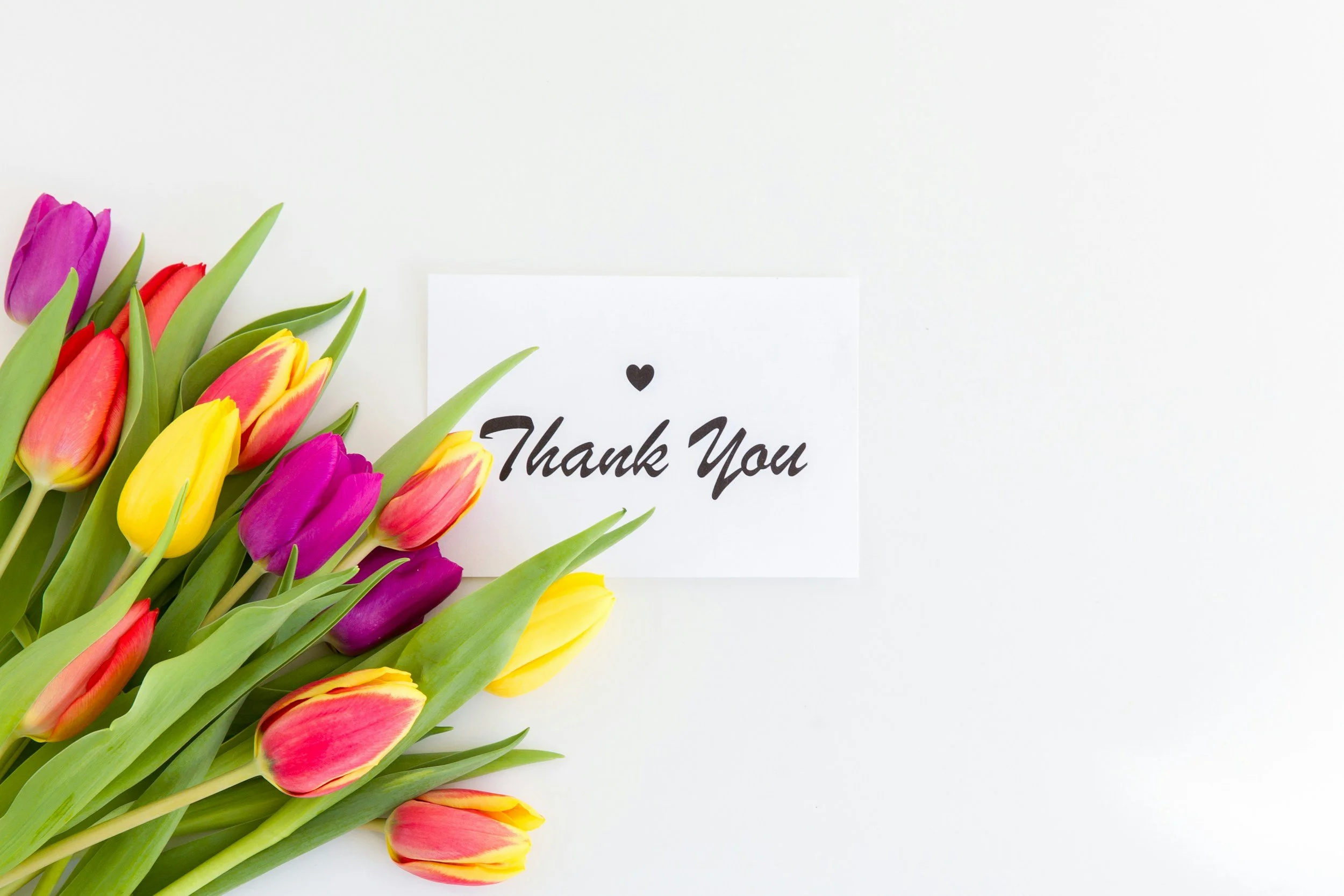DTA Receives Grant Support from AWEF and the Dunham Foundation