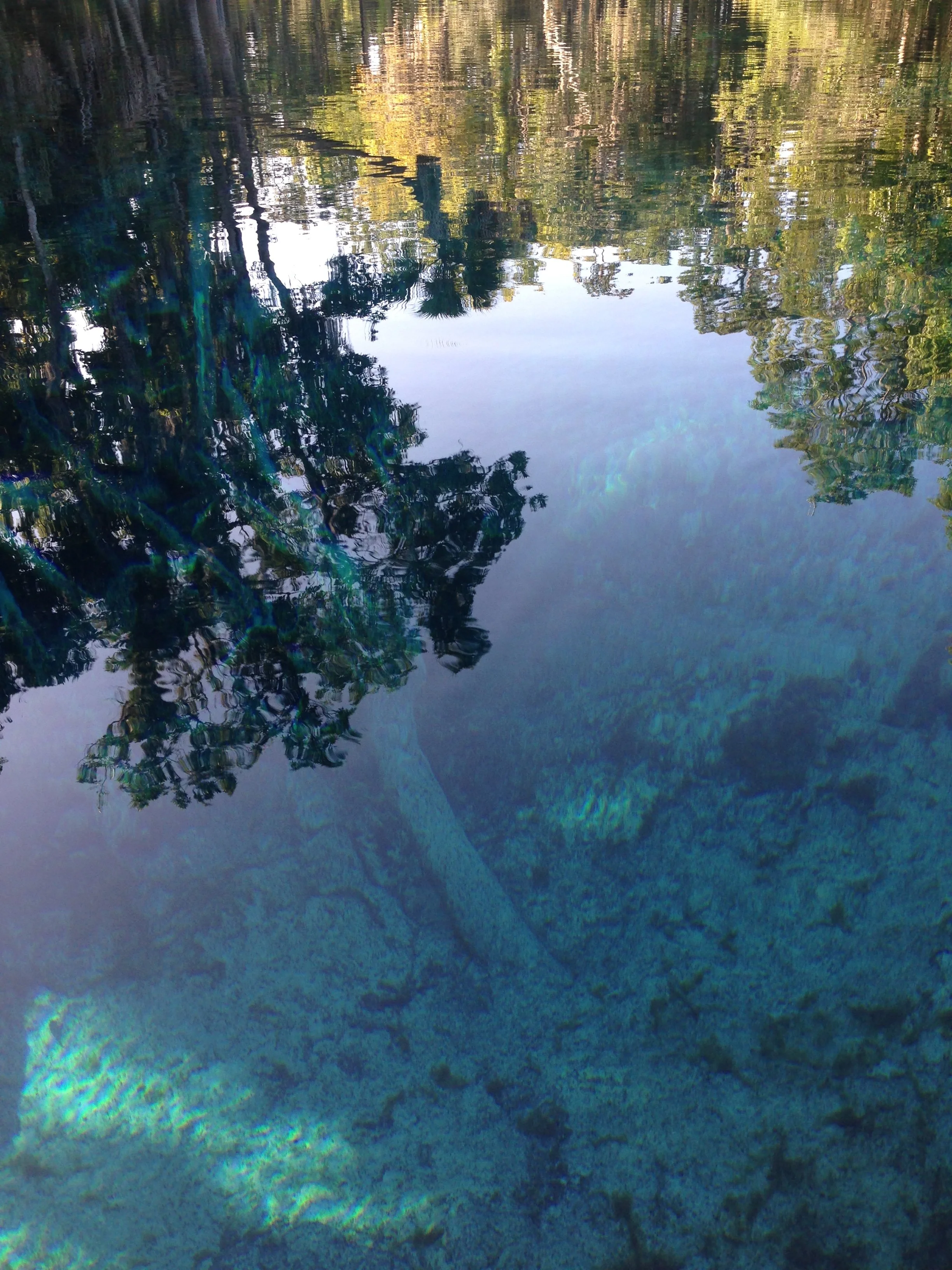 2014-08-31 08.57.30.jpg