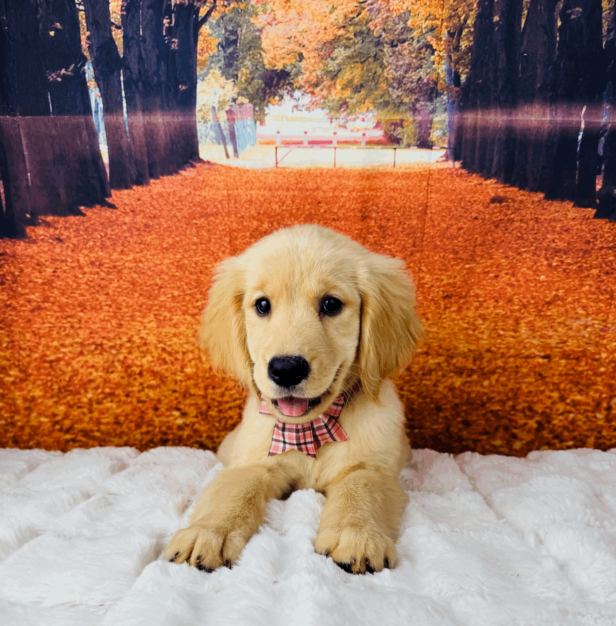 tempImagemCG3Oi.gif