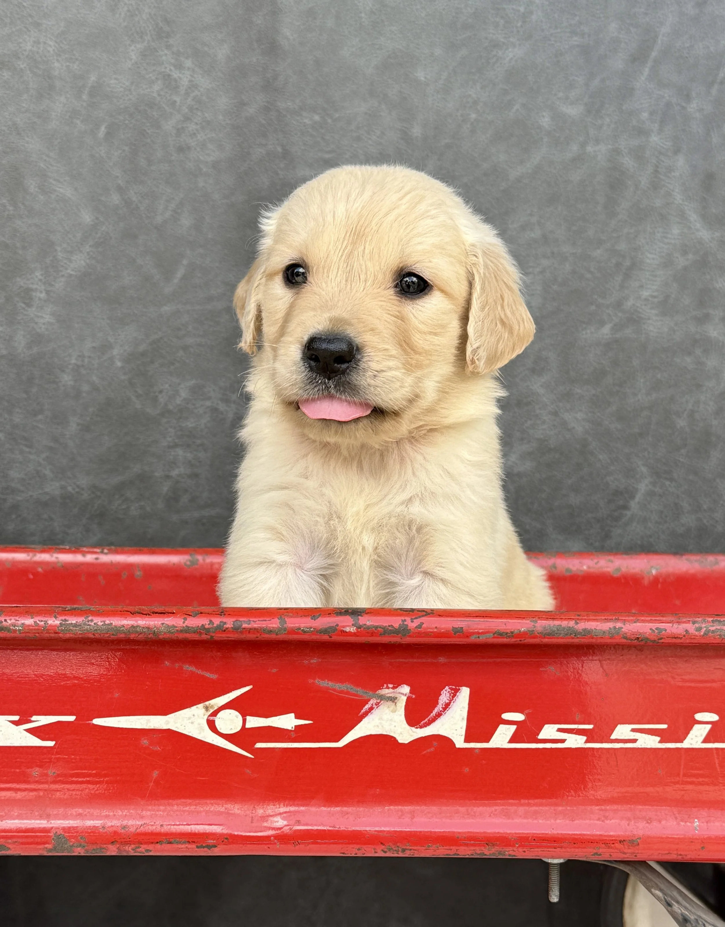 IMG_5681.jpg
