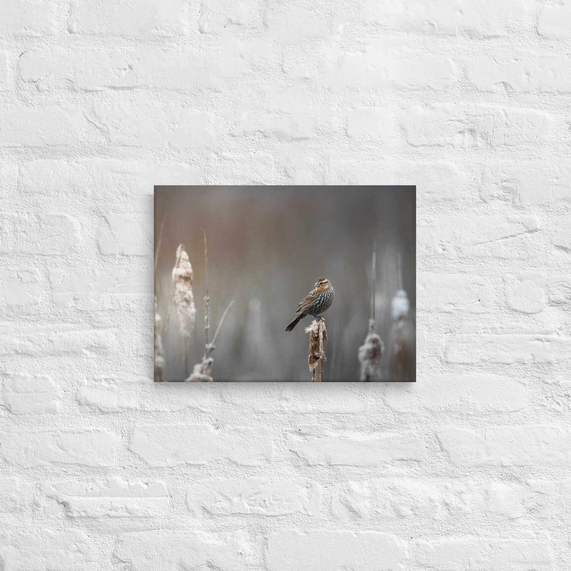 thin-canvas-(in)-12x16-front-681fc9dba484c.jpg