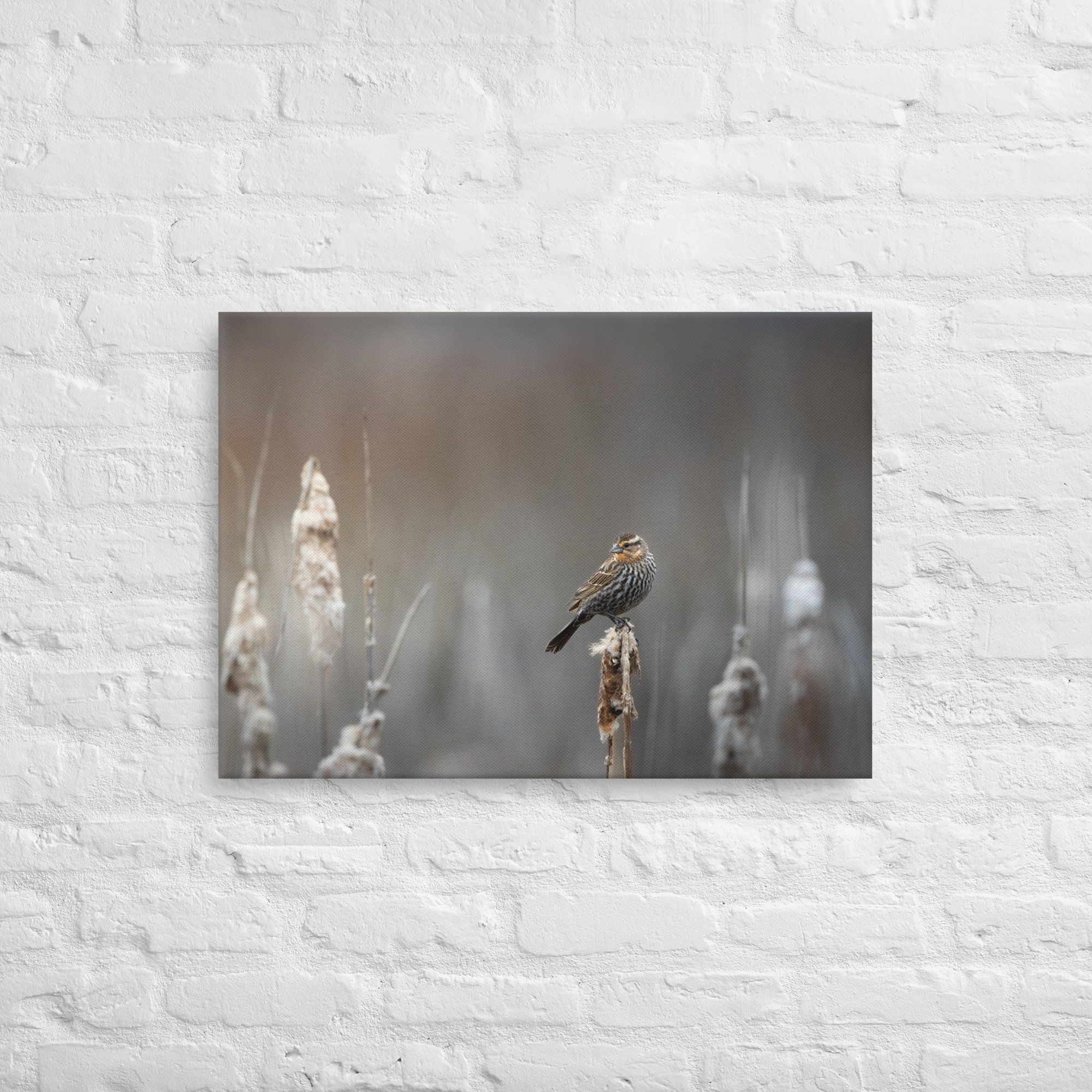 thin-canvas-(in)-20x28-front-681fc9dba48d3.jpg
