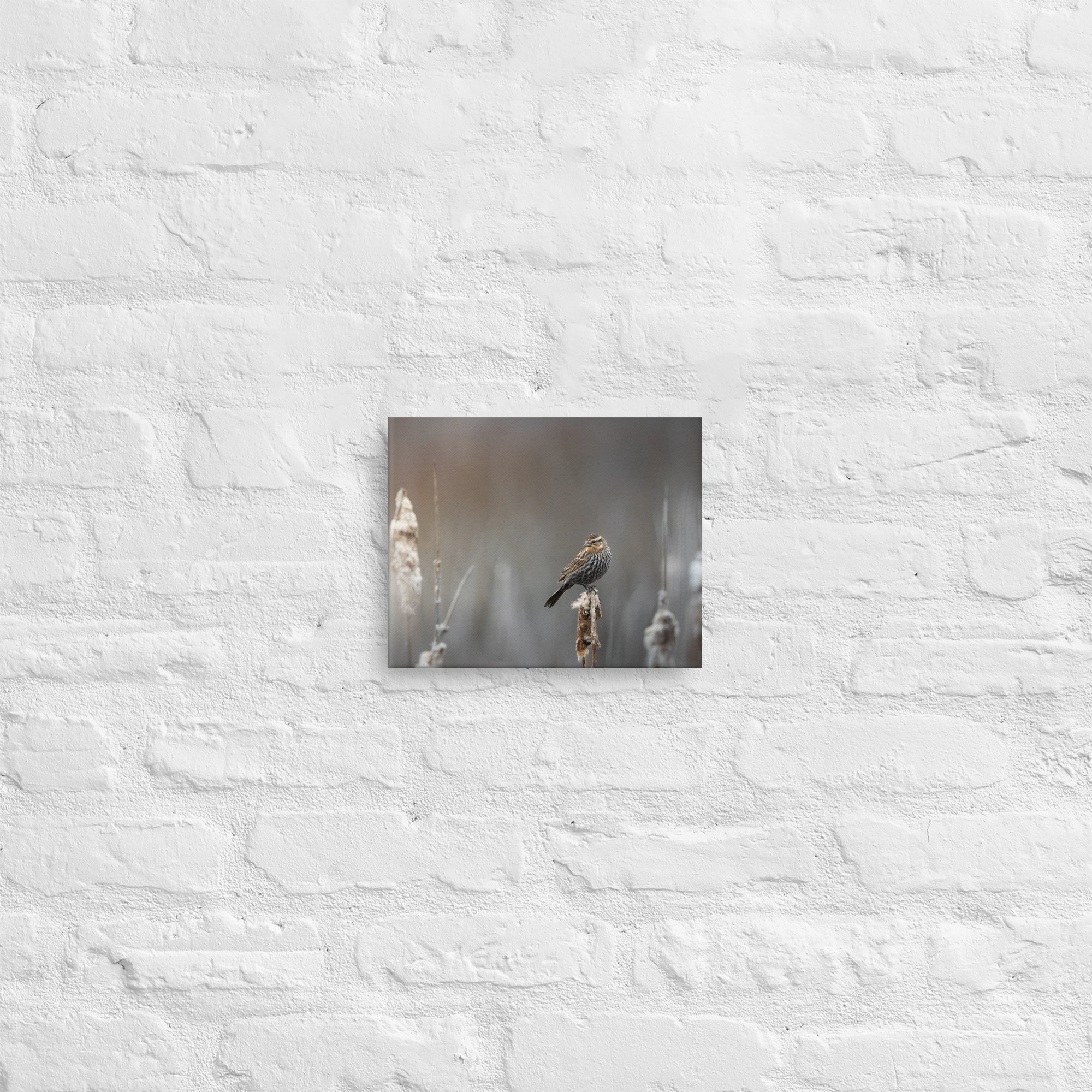 thin-canvas-(in)-8x10-front-681fc9dba494a.jpg
