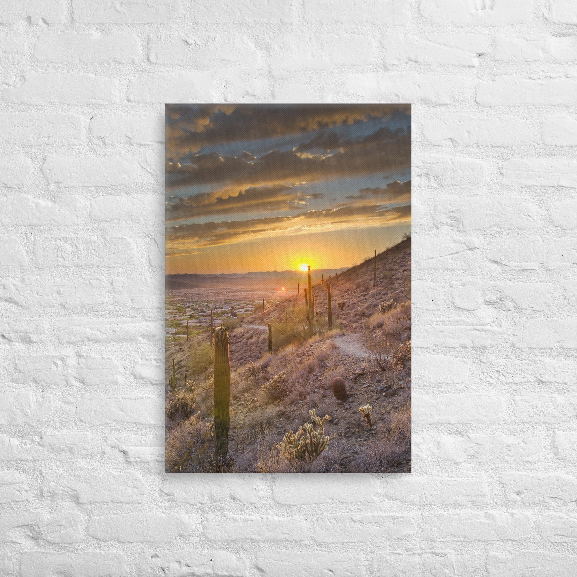 thin-canvas-(in)-20x30-front-682df5d4aa44f.jpg