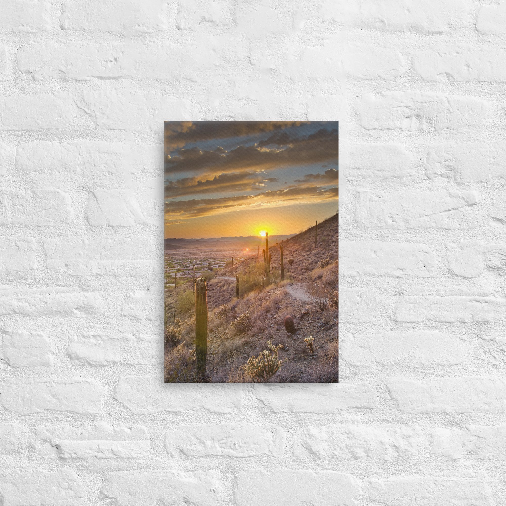 thin-canvas-(in)-12x18-front-682df5d4aa9d3.jpg