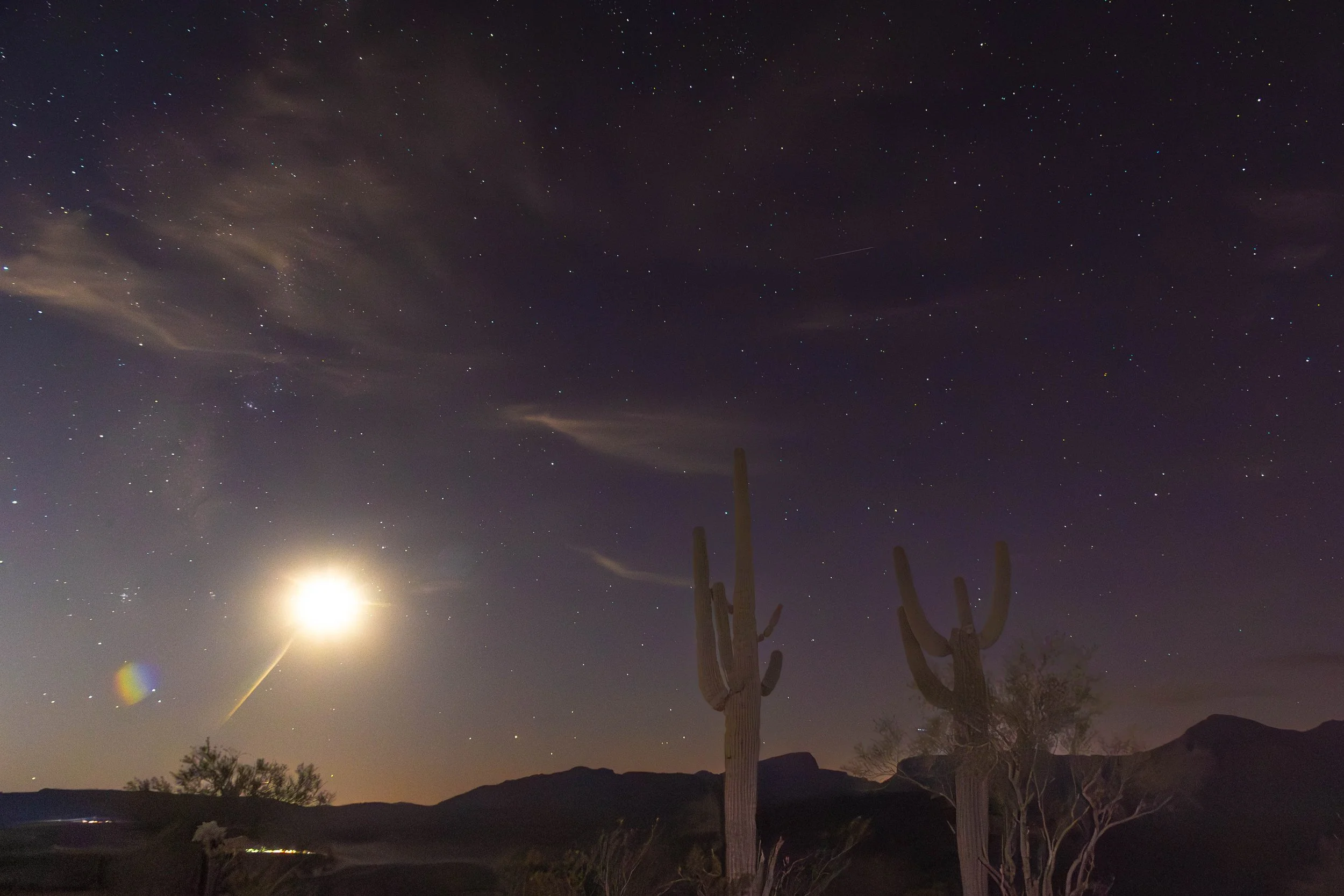 Saguaro Cactus Under a Starry Arizona Sky With Moon Glow and Airglow