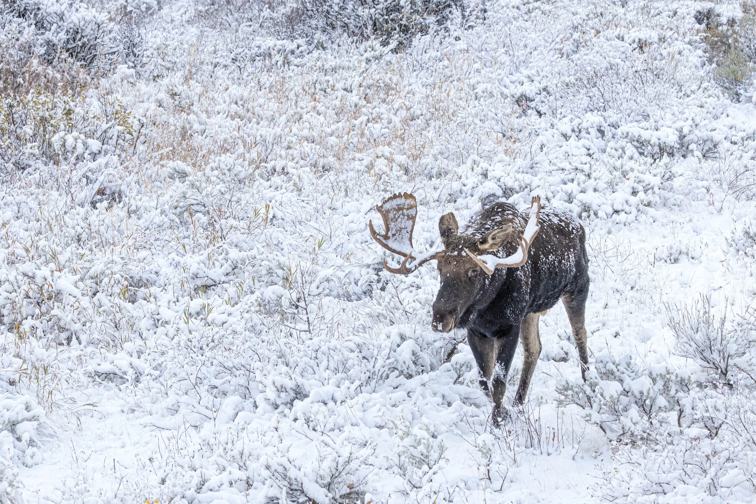 2025-10-12-07-47-08 - ER8A8117-Enhanced-NR.jpg