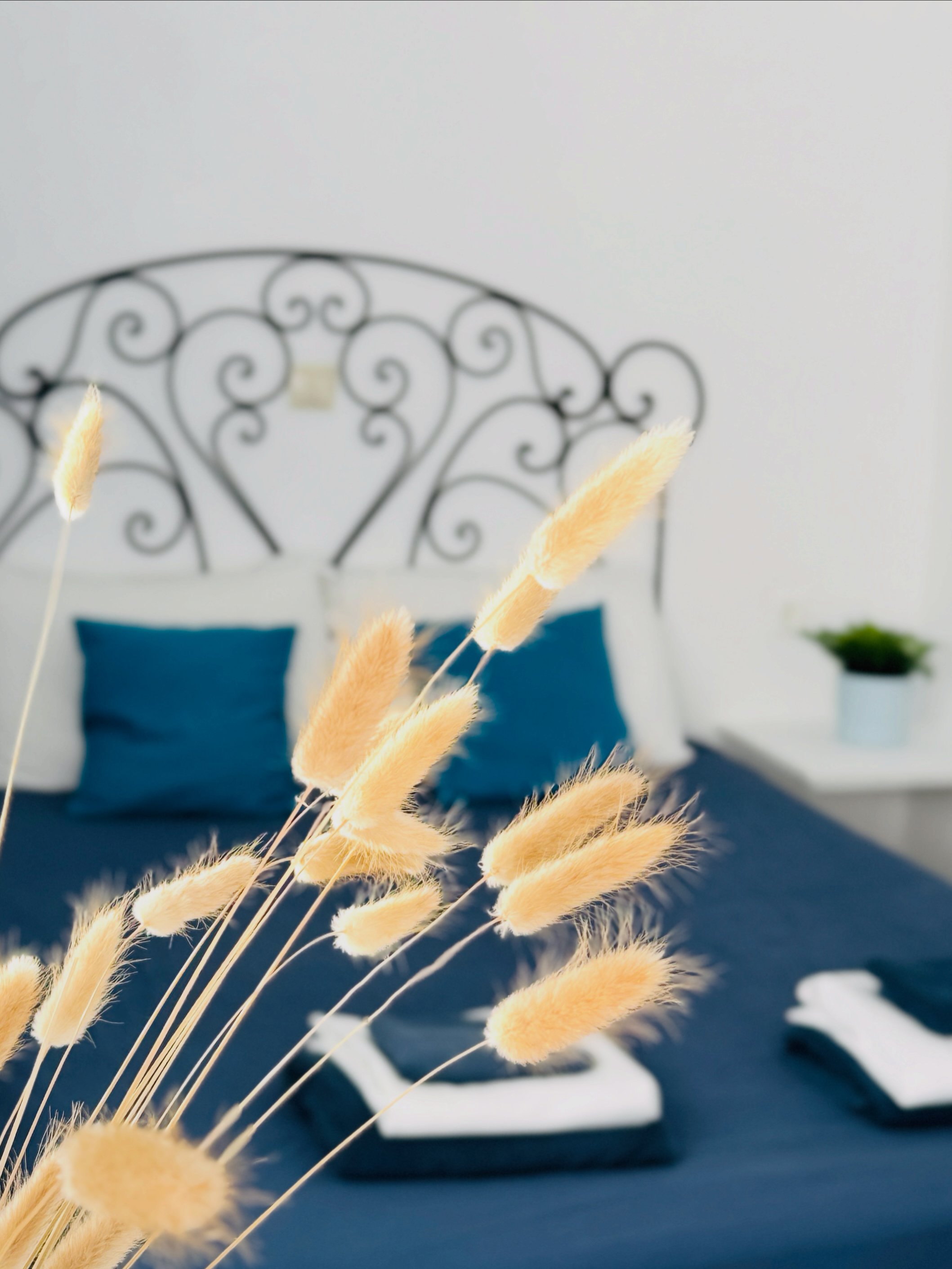 Click to see on Airbnb or Booking.com