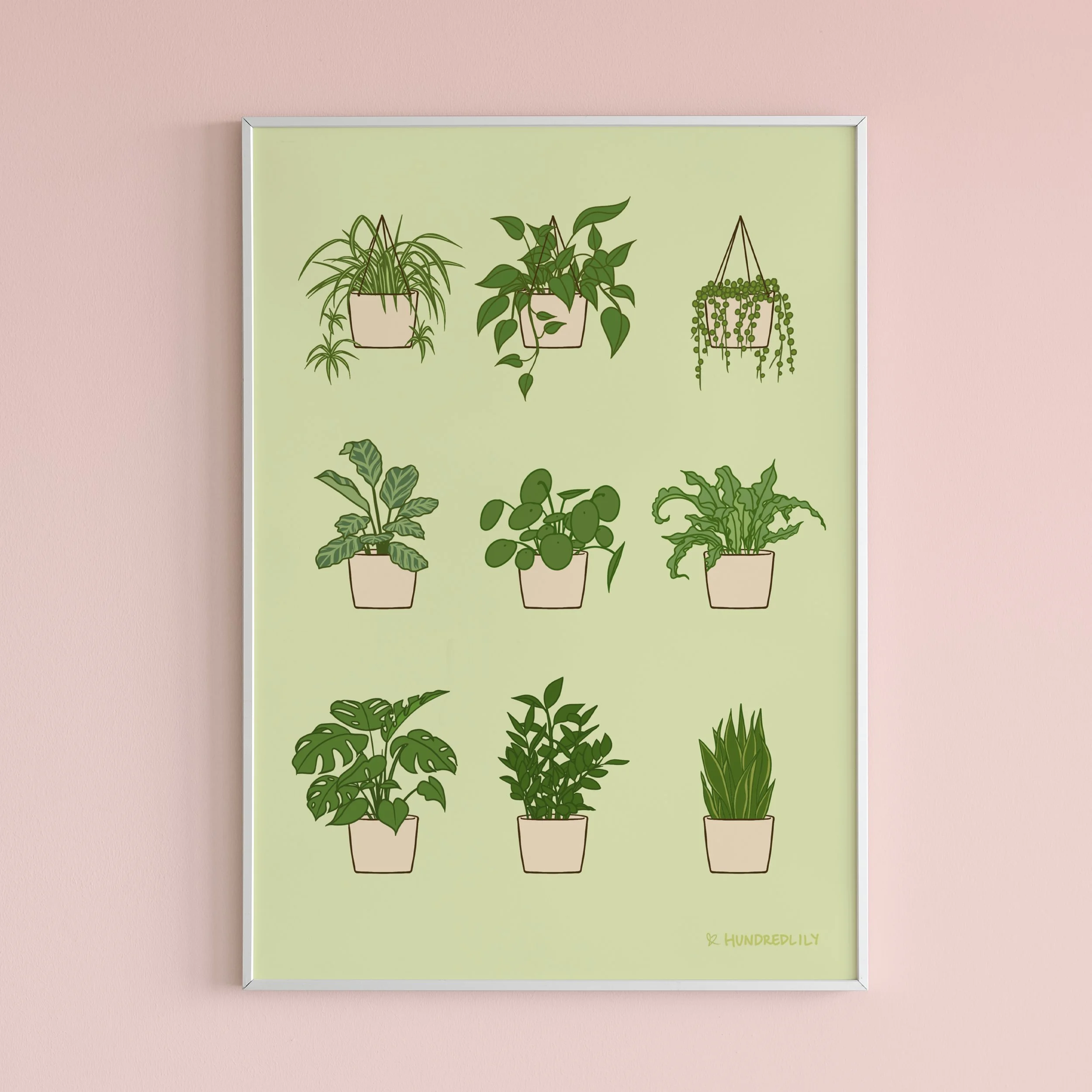 houseplants mockup.jpg