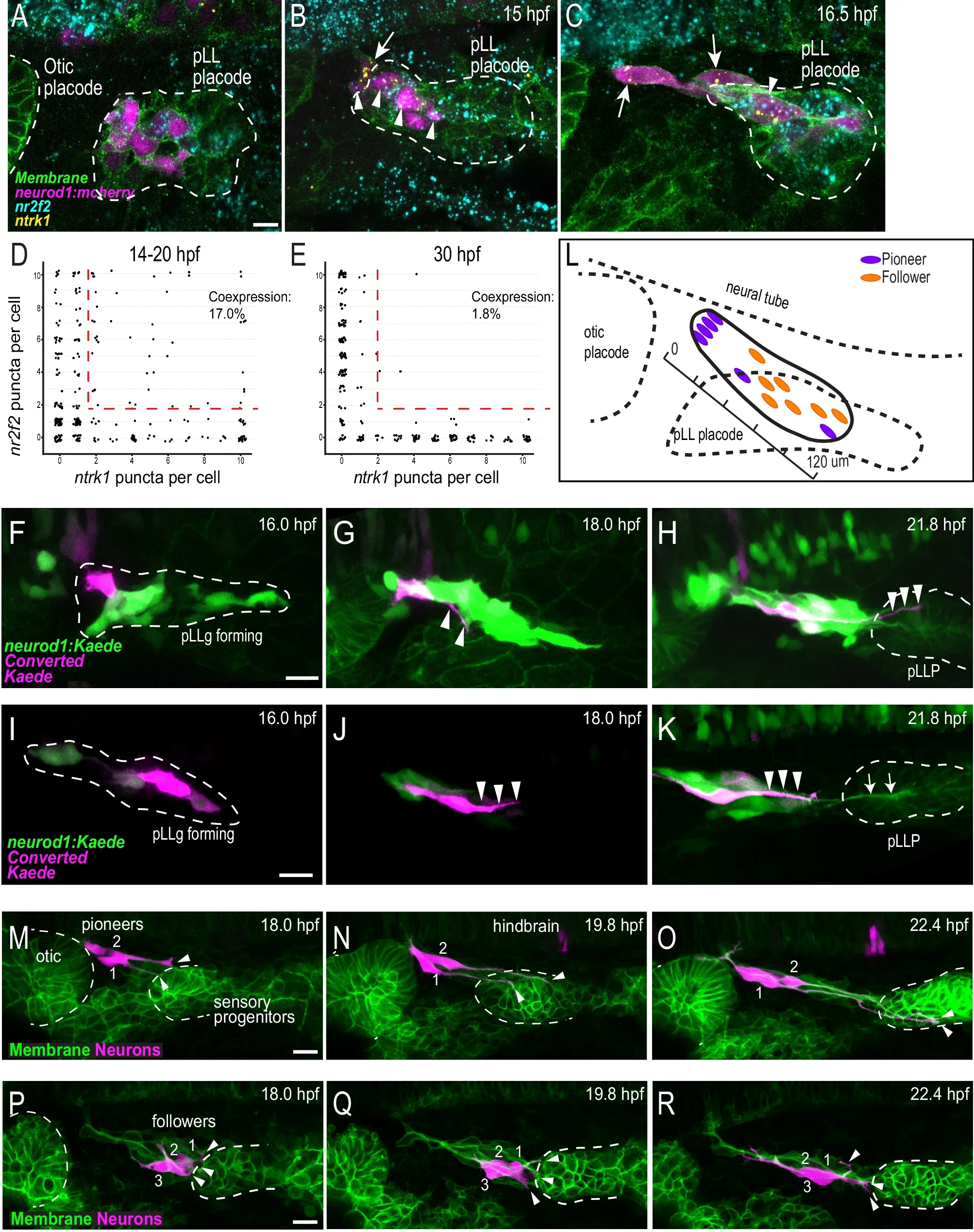New paper published in Nature Communications!