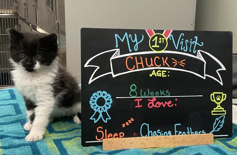 ChuckK.jpg