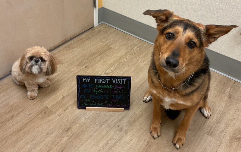 Chester+Baylie-web.jpg