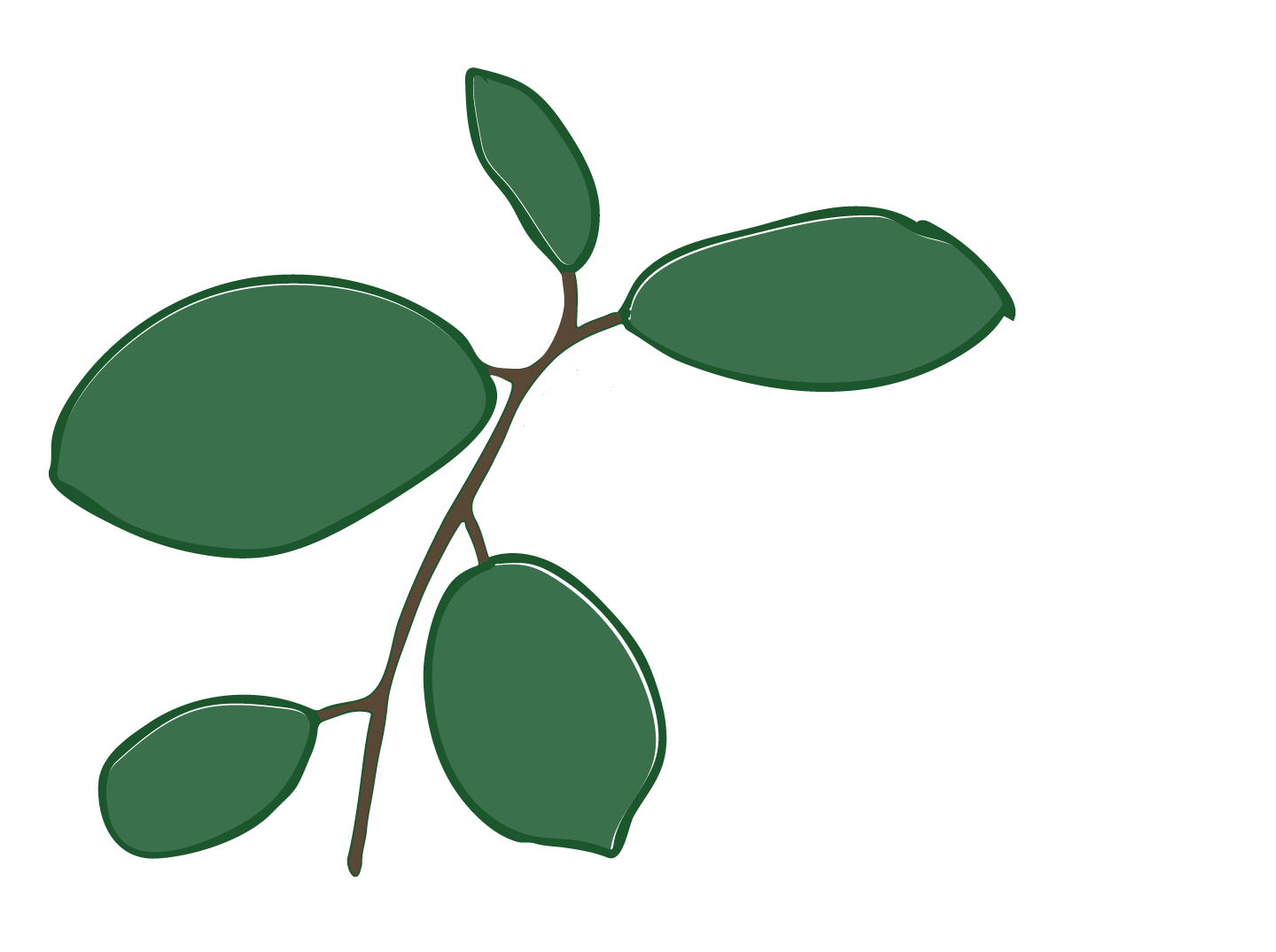 Cascara Integrative Therapy PLLC
