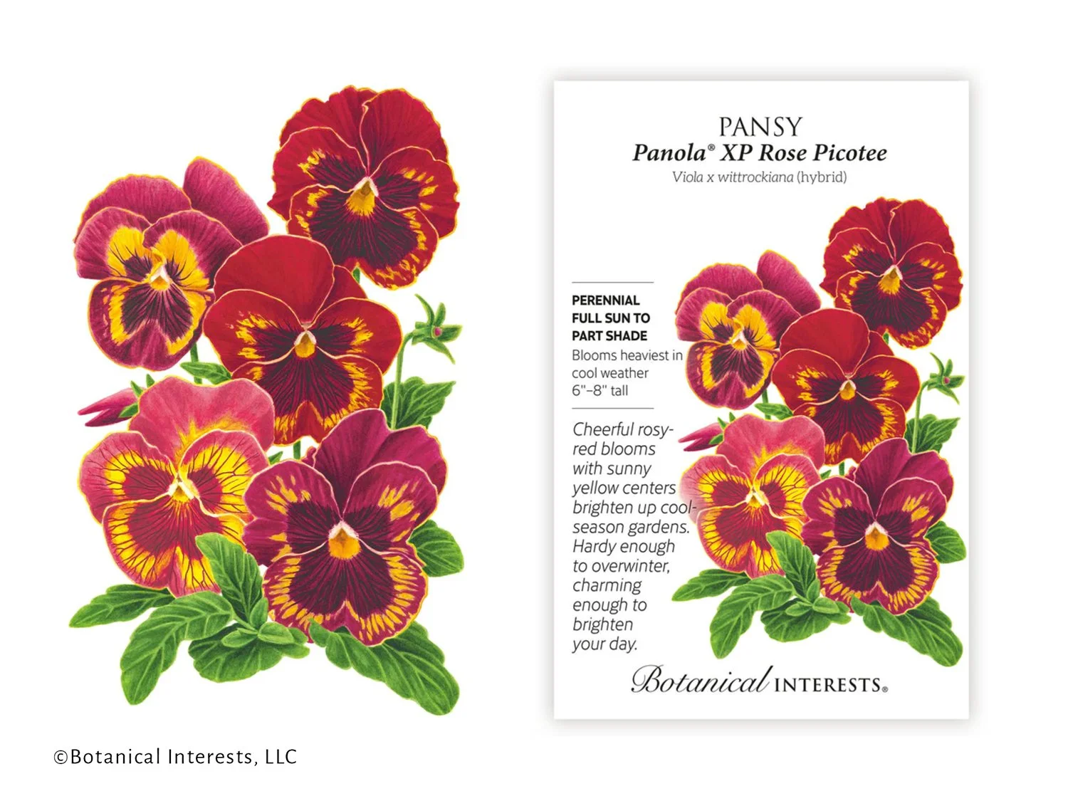 botanical interests seed packet