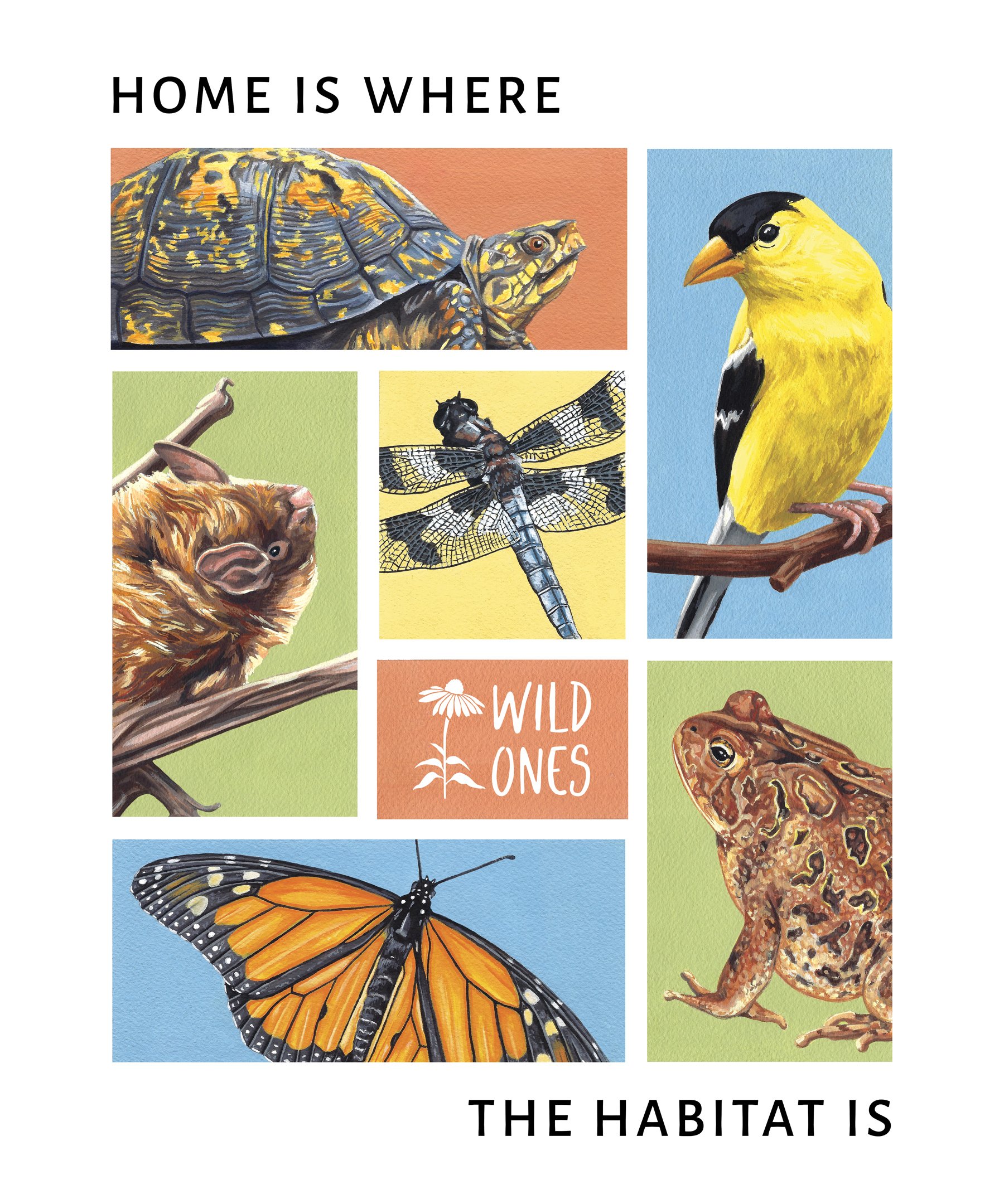 Web_Nature_WildOnes_Regional_Wildlife.jpg