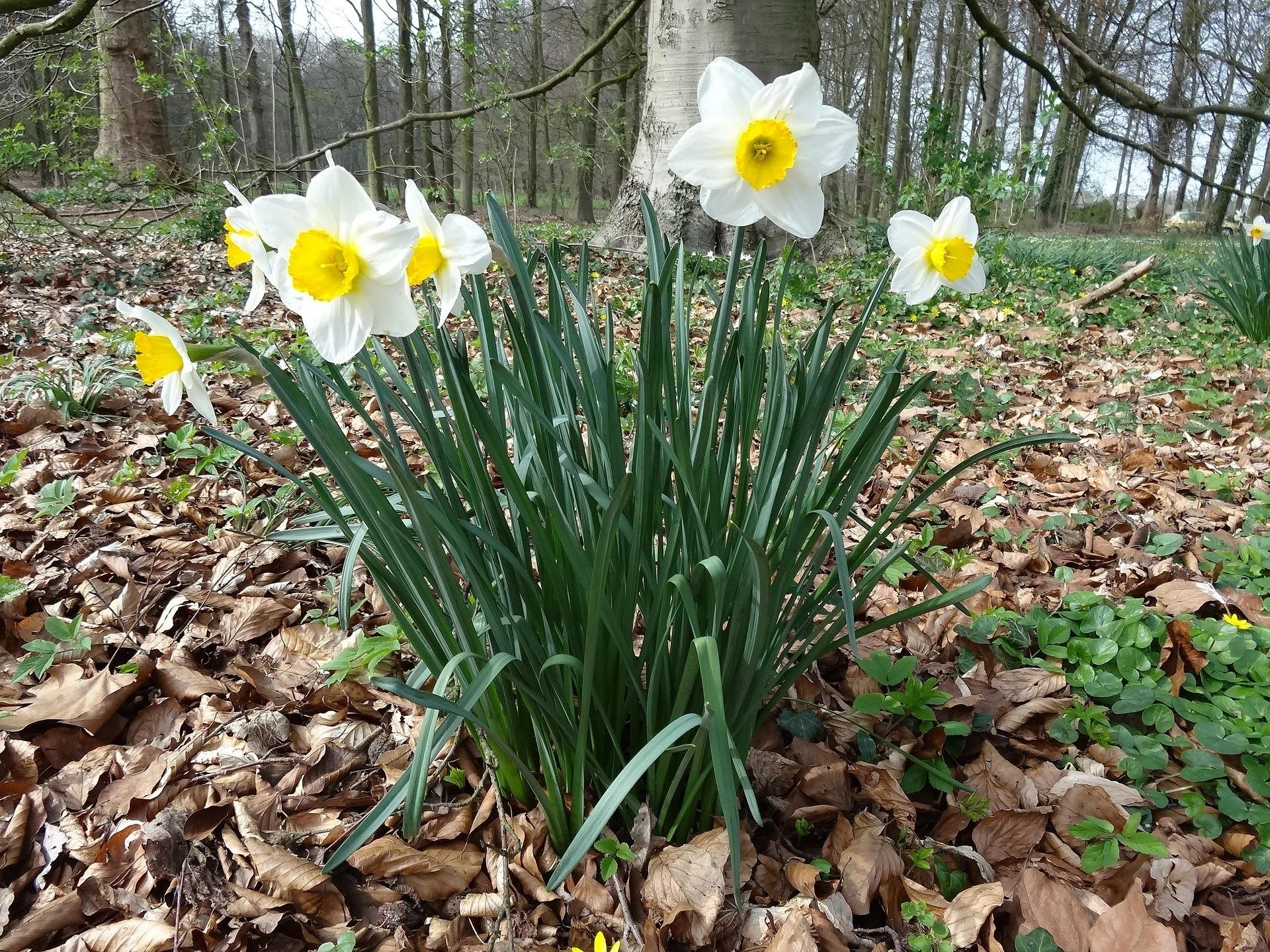 Die Woche vom 06.04. - 12.04. 2026