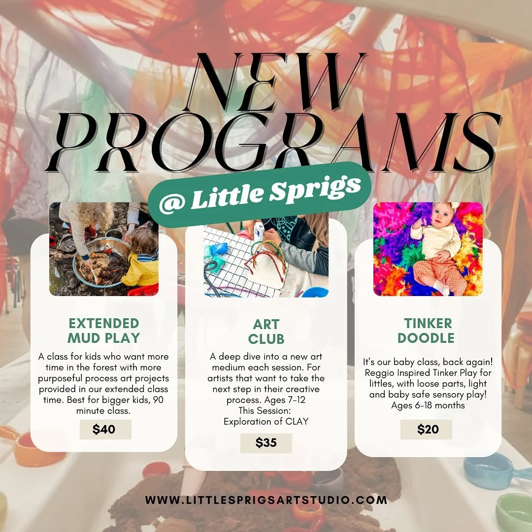 New Programs for a New Fall Session!

As we grow we are doing our best to fill community needs and listen to your requests!  We have also spent time processing our own observations to ensure each of our programs meets the quality we are known for and