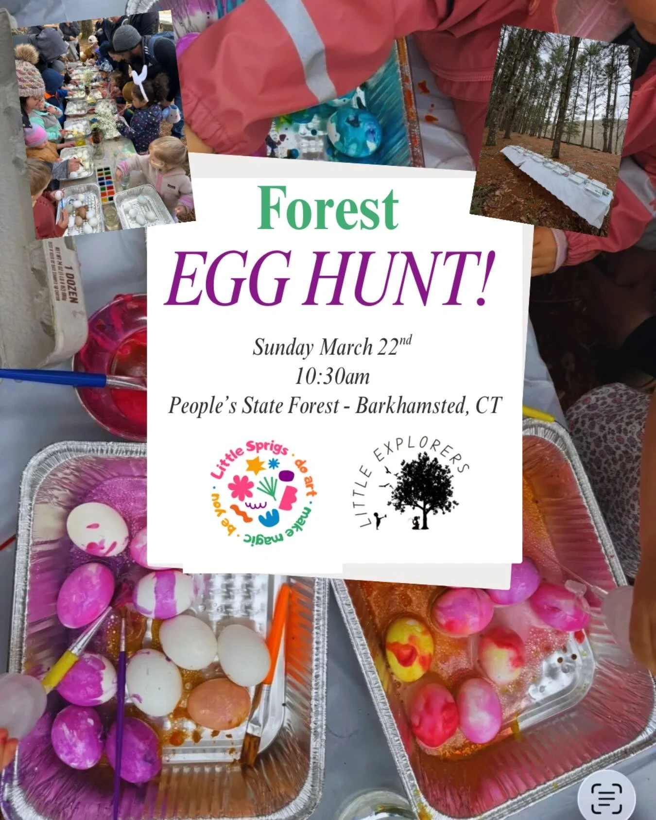 Grab a last remaining spot!
I am so honored to sub in for Sam for her very special Annual Egg Hunt this year! There are a few remaining spots to grab because we had some cancellations.

Message below and I&rsquo;ll send you the sign up link!