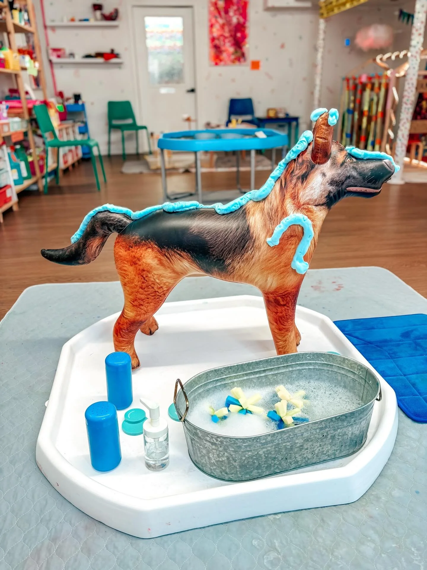 One of our all time favorite activities- washing inflatable ANYTHING 🎉🎉🎉🎉 

This week we have a K9 🐕🐕&zwj;🦺