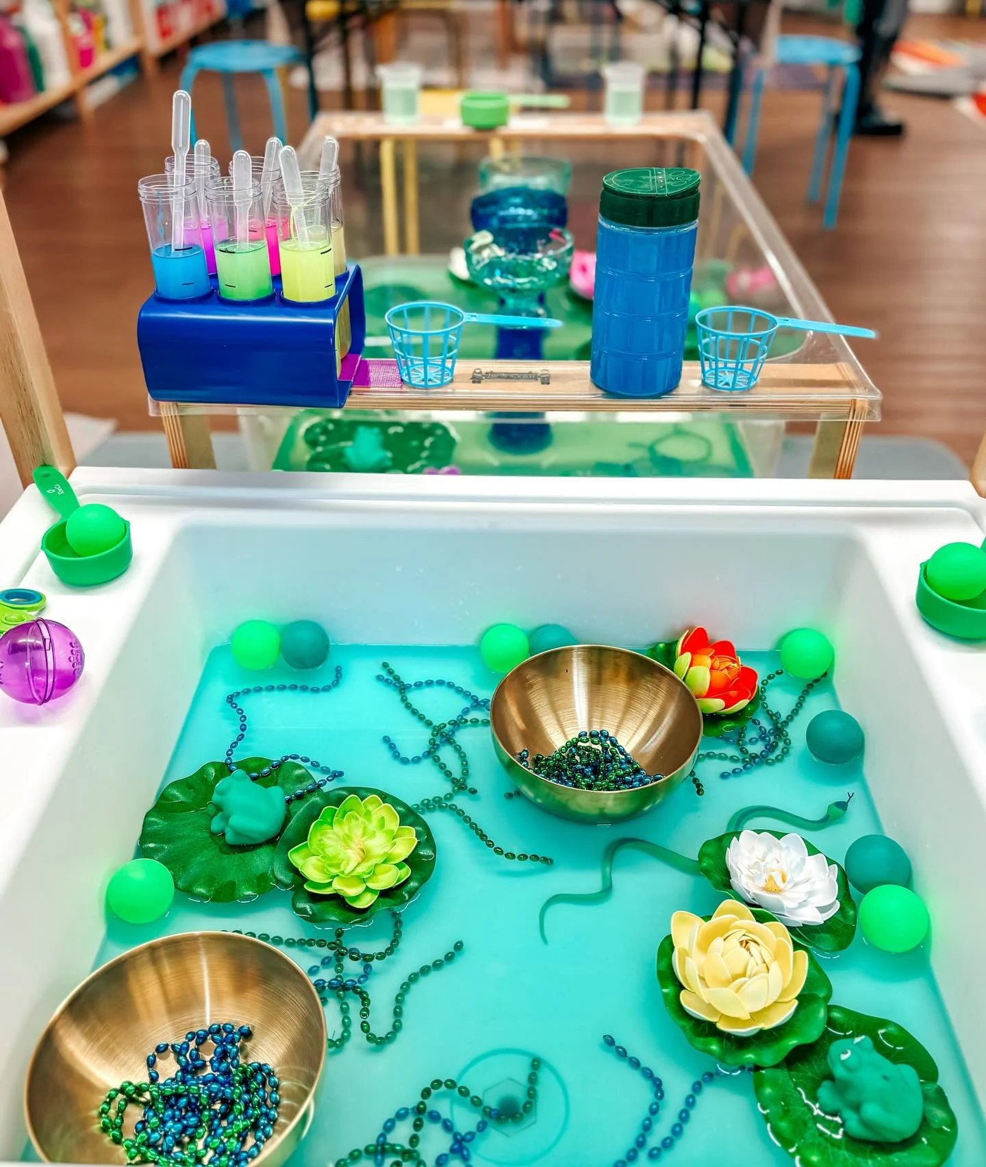 Beauty from all angles 🐸💦