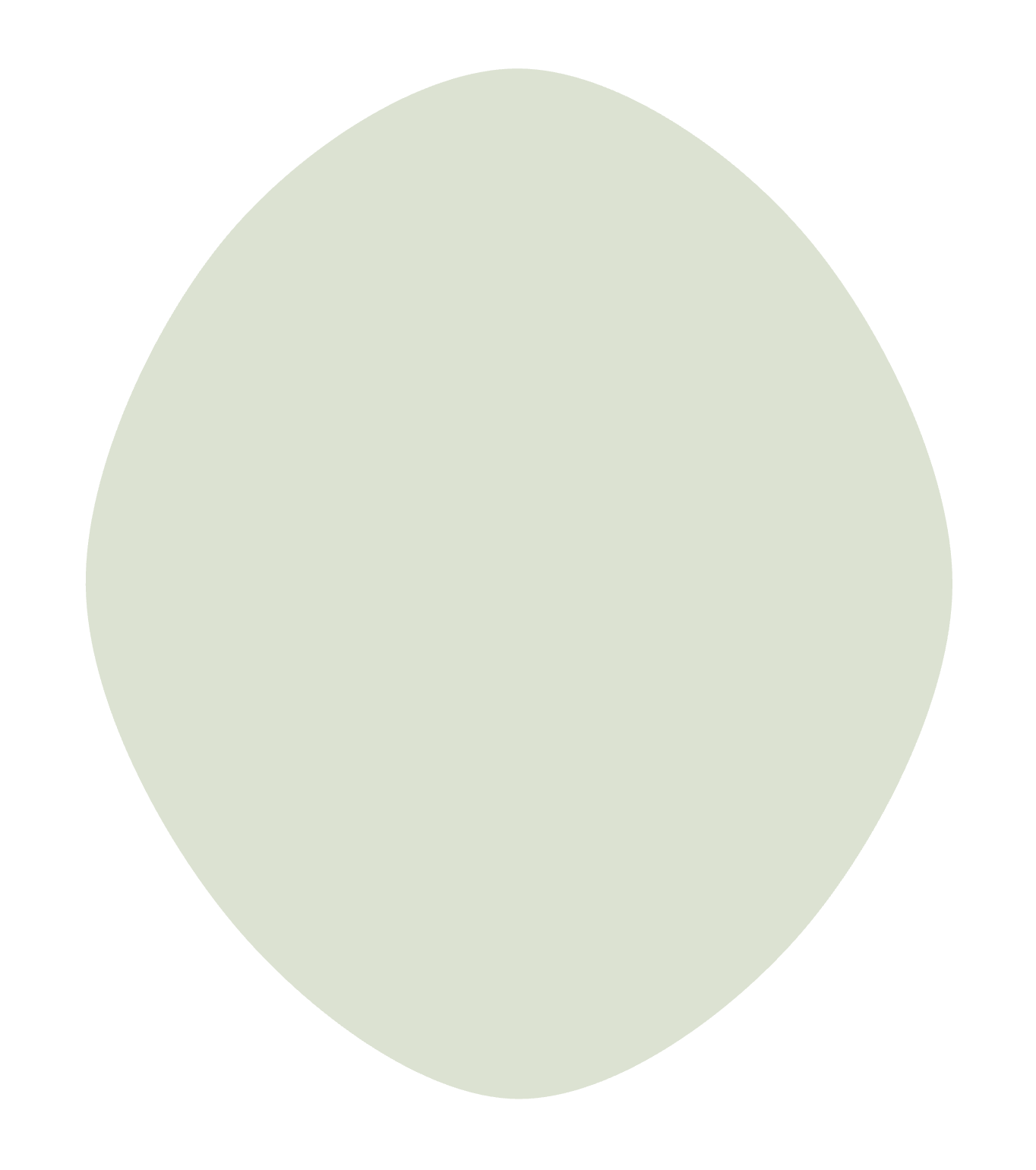 A large oval-shaped light green object with a smaller black circle behind it.