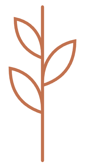 Simple illustration of a brown plant with four leaves. wildflowers grow in the midst of the most unexpected and inhospitable environments, thriving and beautiful in spite of their conditions. Imagine what would happen with some support?