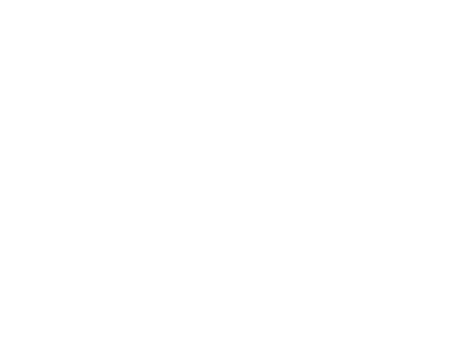 Loon.png